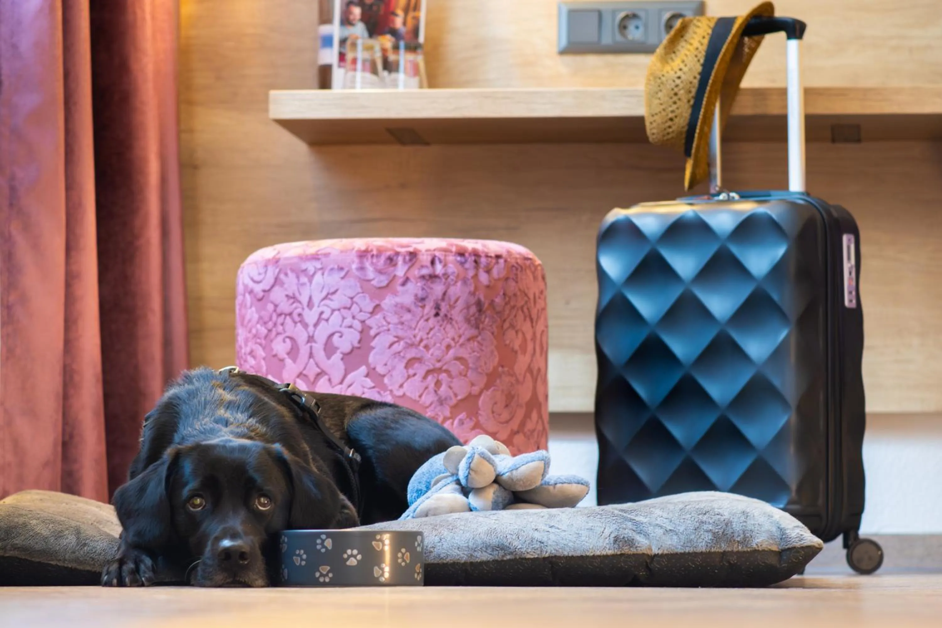 Pets in Trihotel Rostock - Wellnesshotel Adults Only