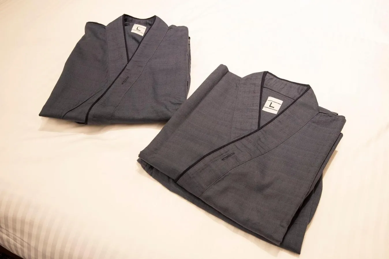 Wires Hotel Shinagawa Seaside