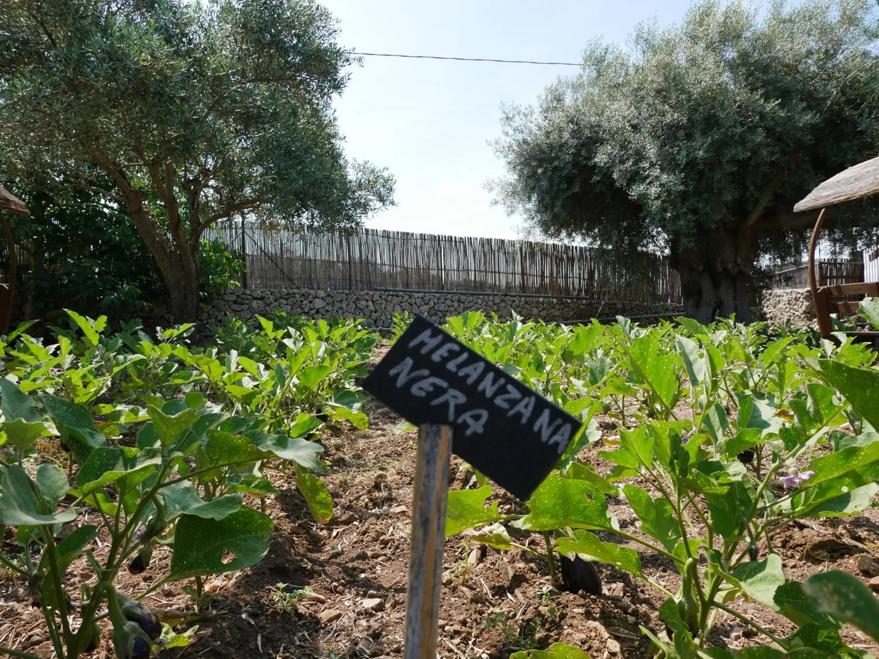 Garden in Pantalica Ranch Agriturismo Siciliano