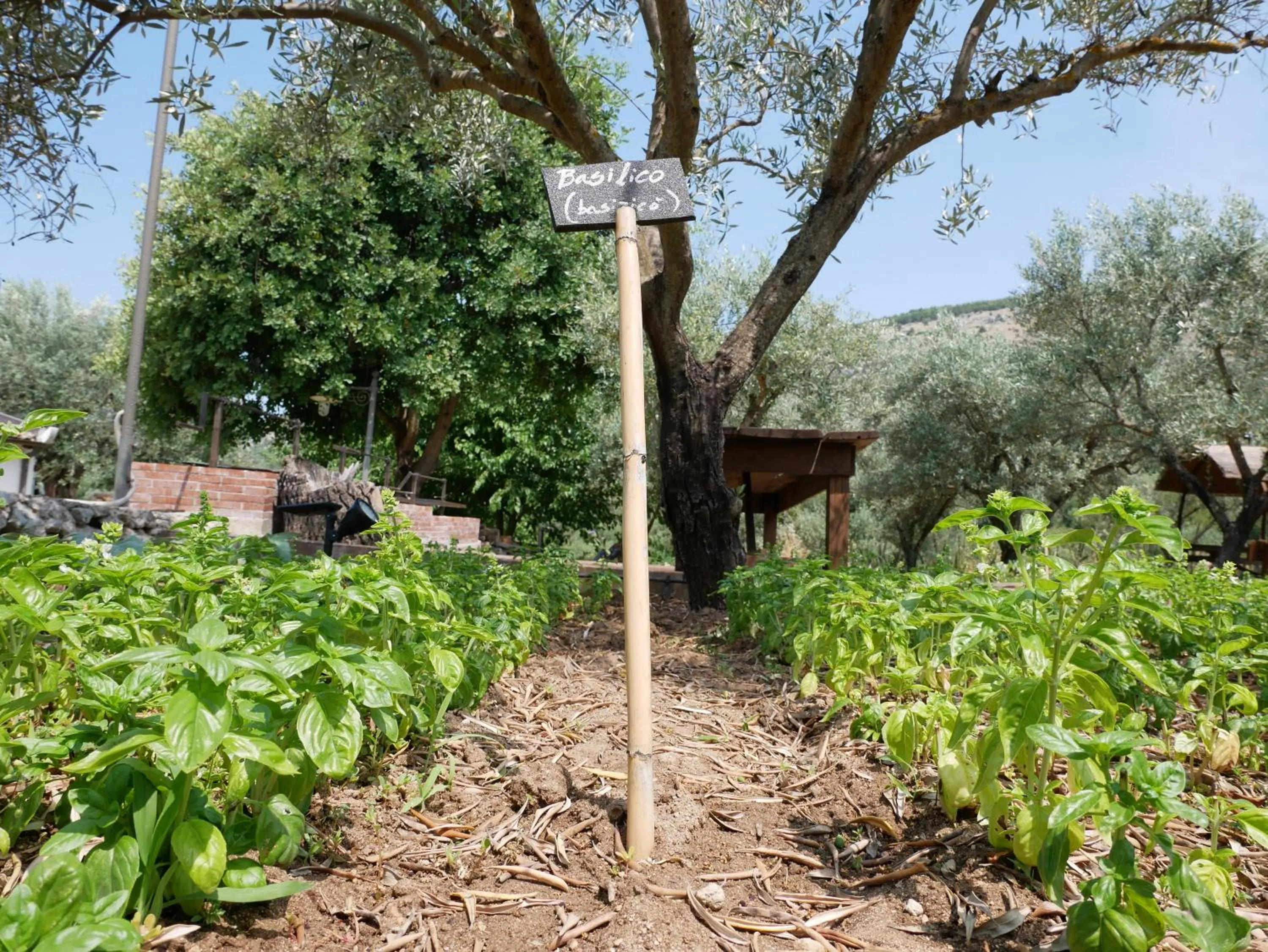 Garden in Pantalica Ranch Agriturismo Siciliano