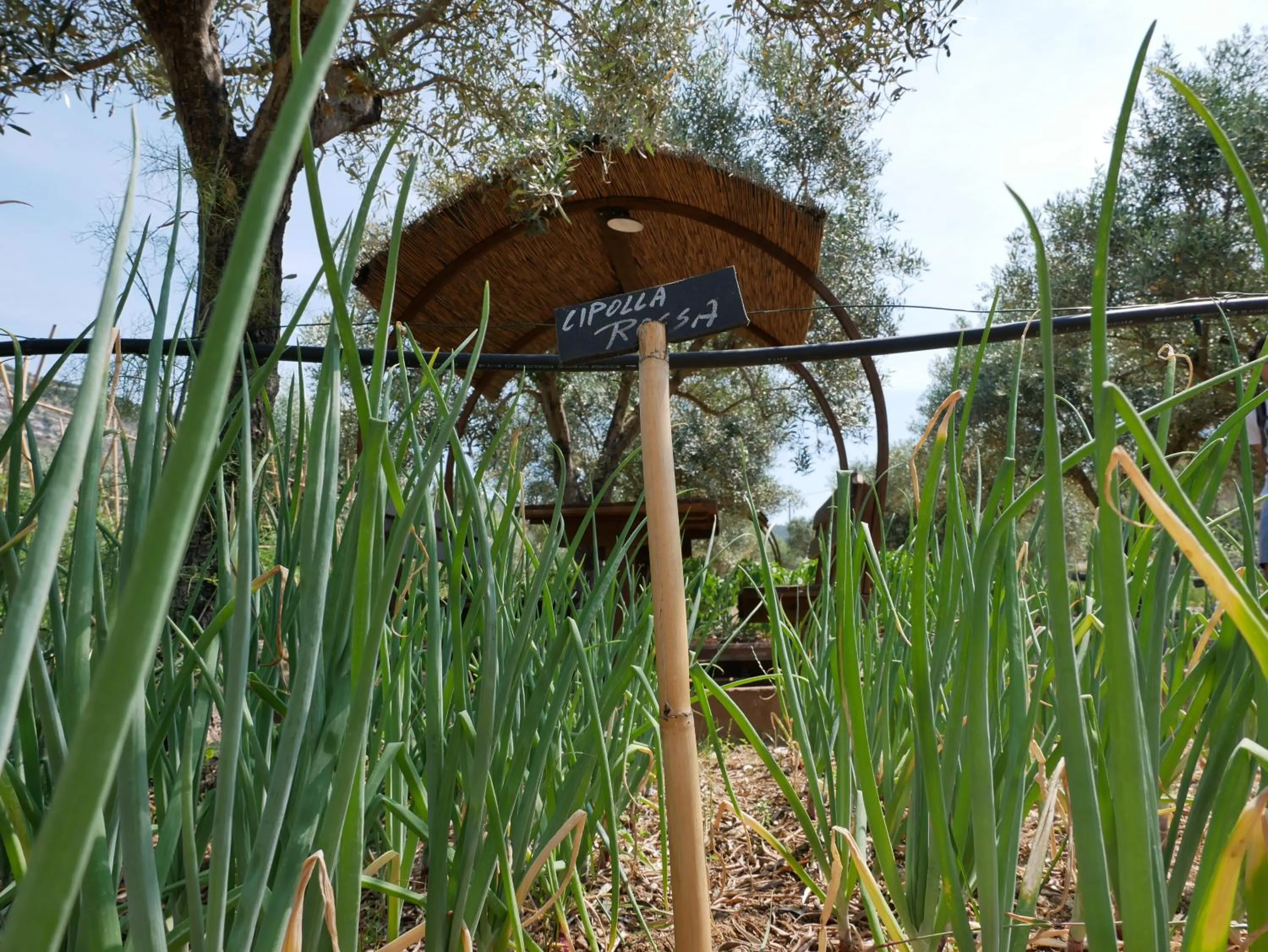 Garden in Pantalica Ranch Agriturismo Siciliano