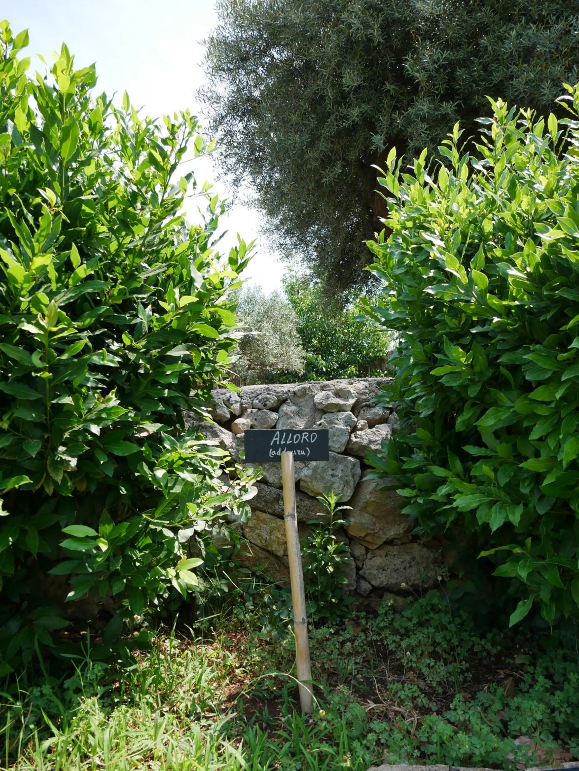 Garden in Pantalica Ranch Agriturismo Siciliano