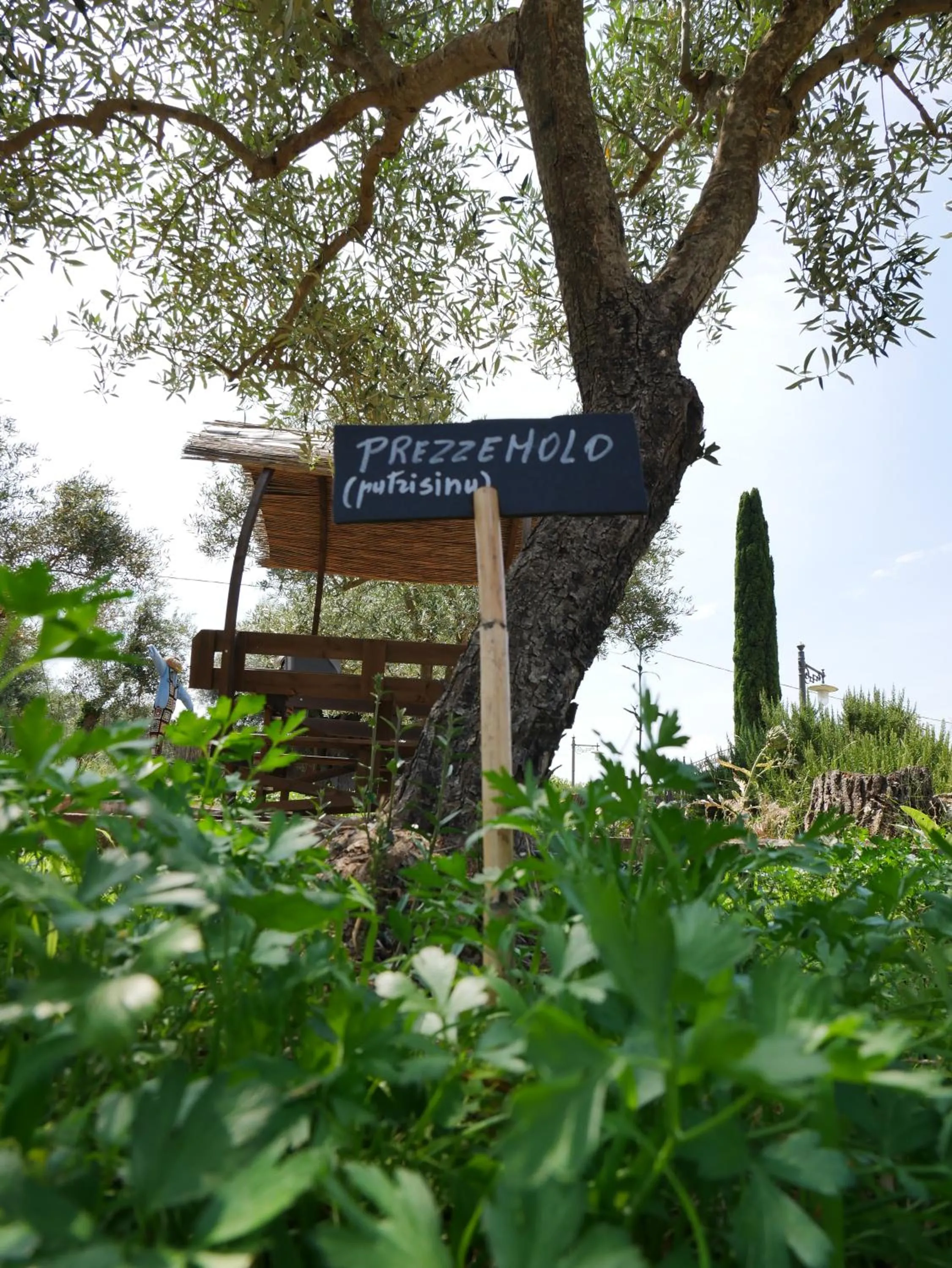 Garden in Pantalica Ranch Agriturismo Siciliano