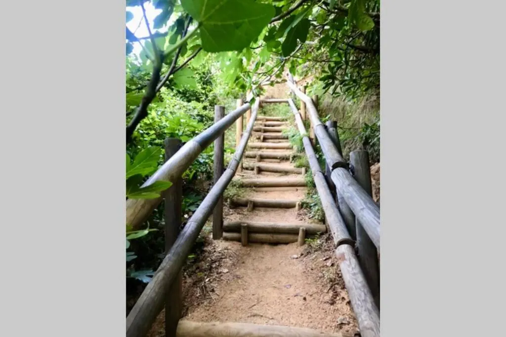 Neighbourhood in Nuevo Luminoso Apartamento Catalina a 80 metros de la playa para 4 personas