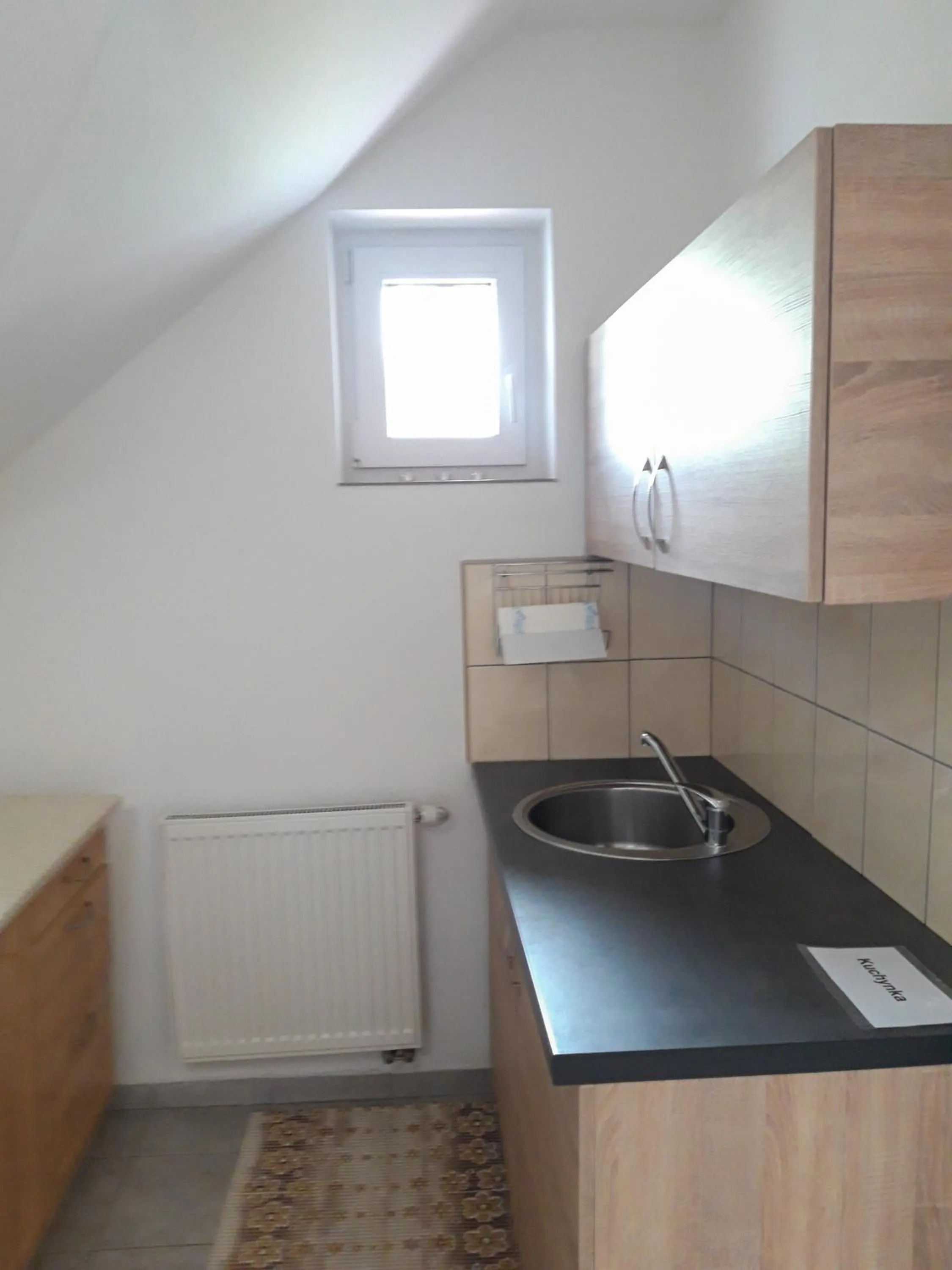 Kitchen or kitchenette in TIC Hervartov