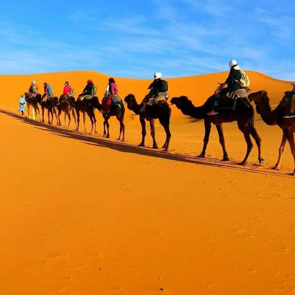 Merzouga Quiet apart &camels trecking