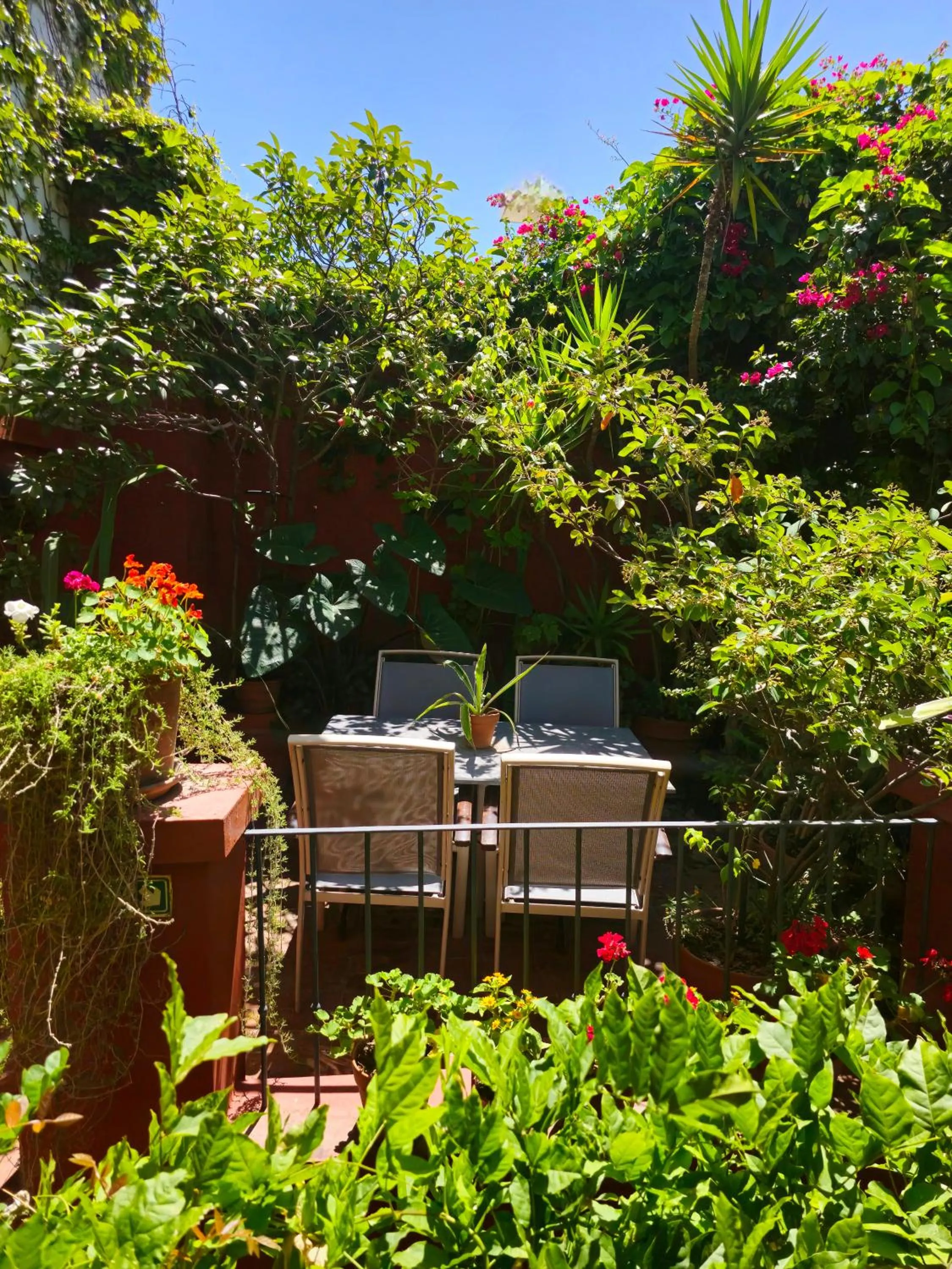 Garden view in BE Jardin Escondido By Coppola