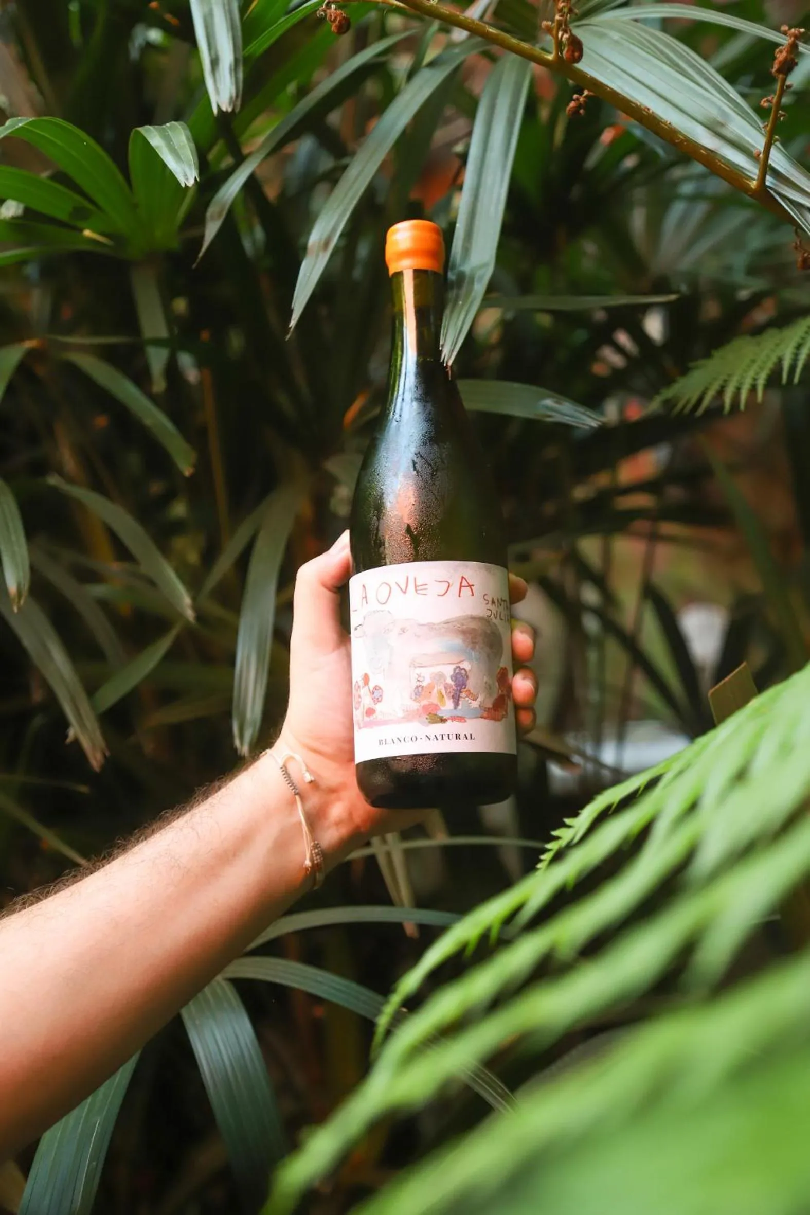 Lounge or bar in BE Jardin Escondido By Coppola