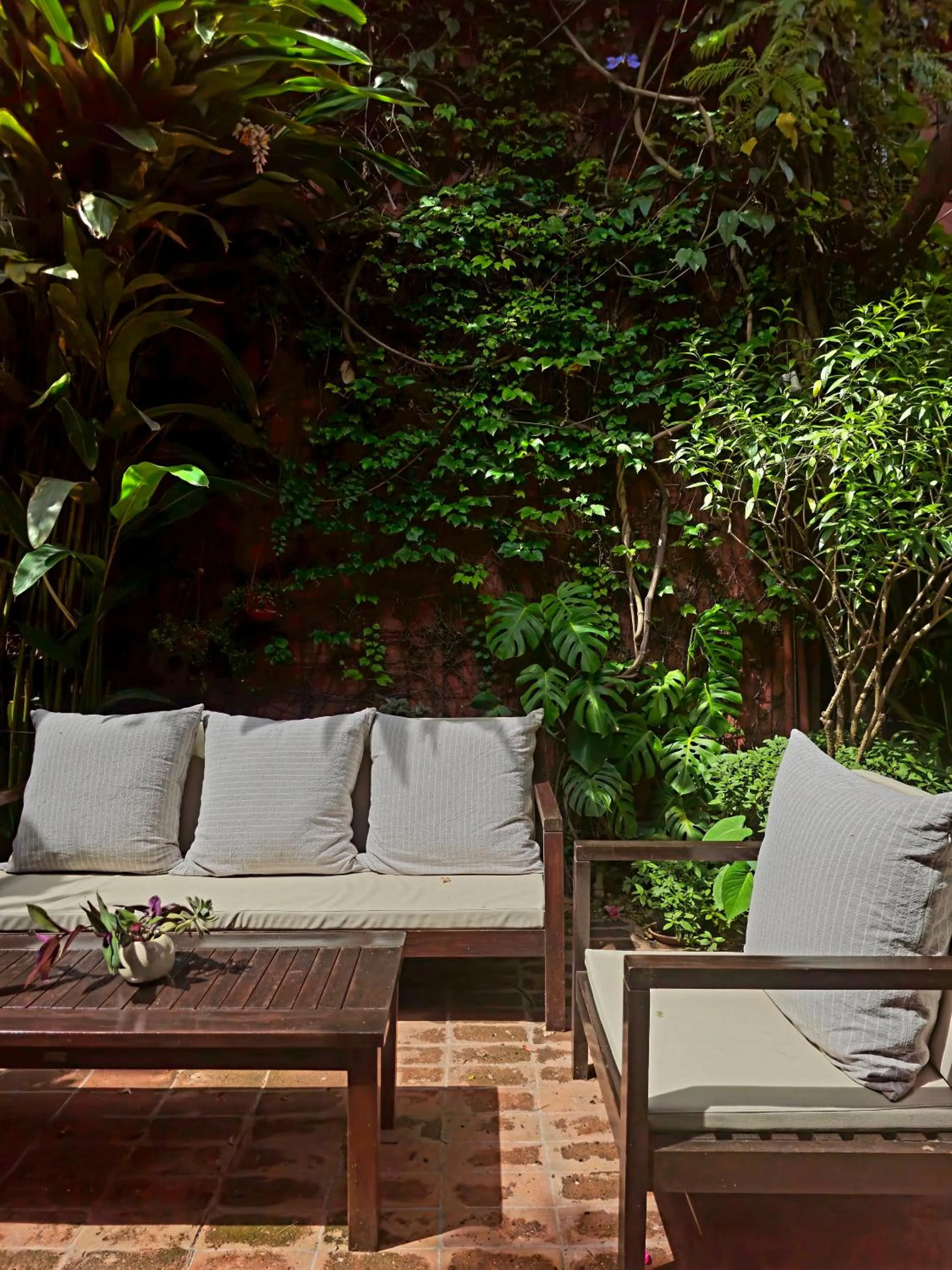 Patio in BE Jardin Escondido By Coppola