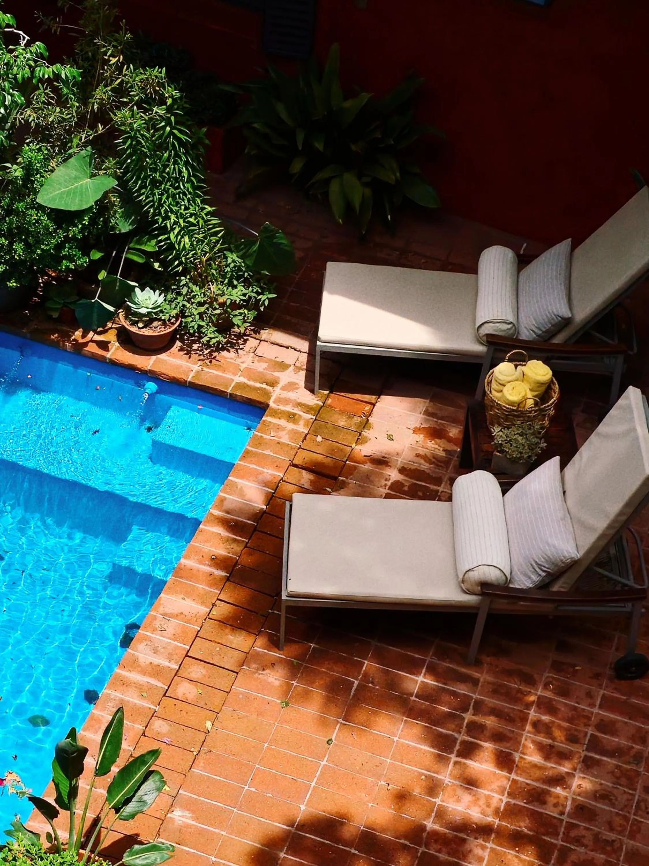 Garden in BE Jardin Escondido By Coppola