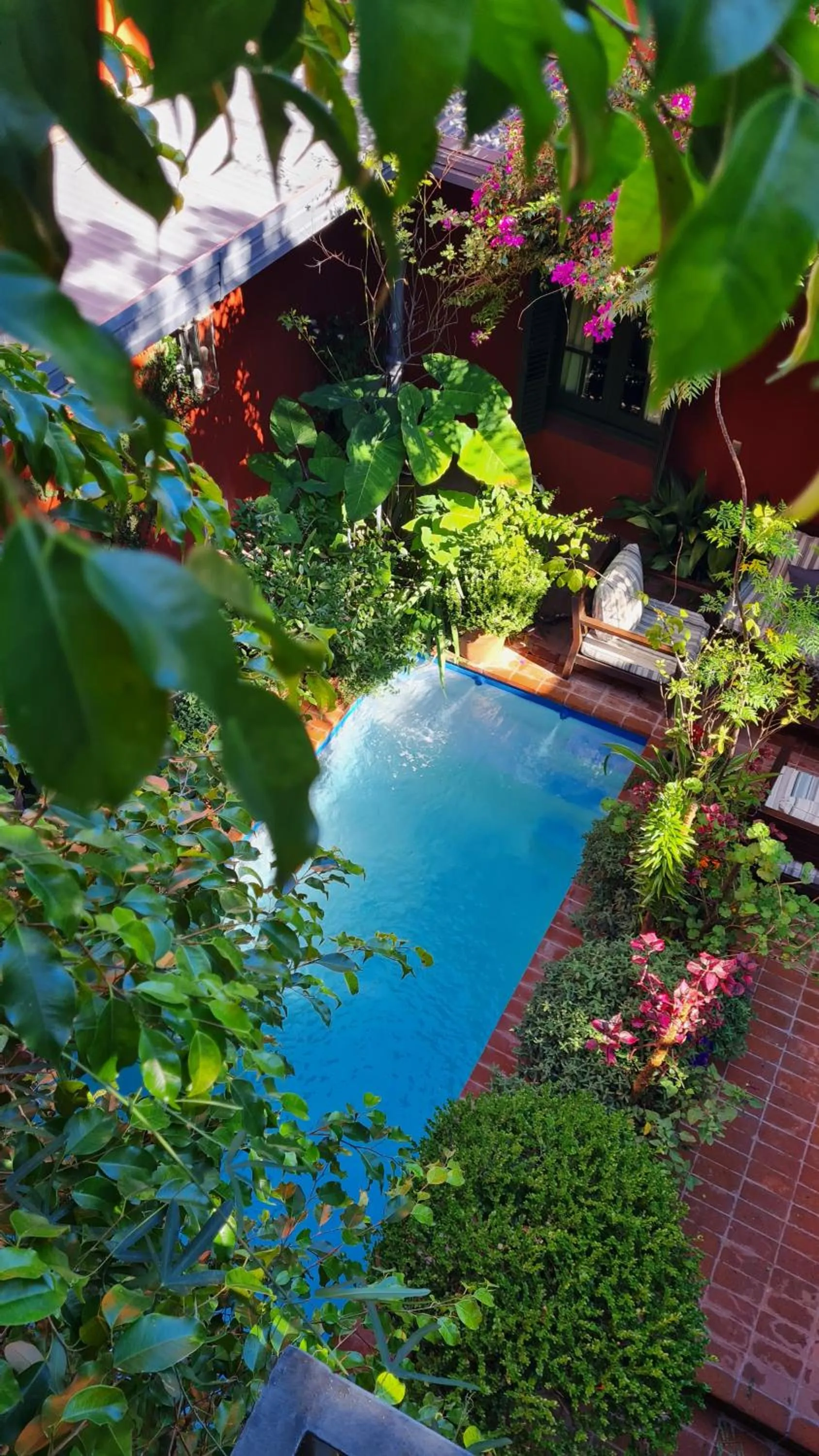 Pool view in BE Jardin Escondido By Coppola