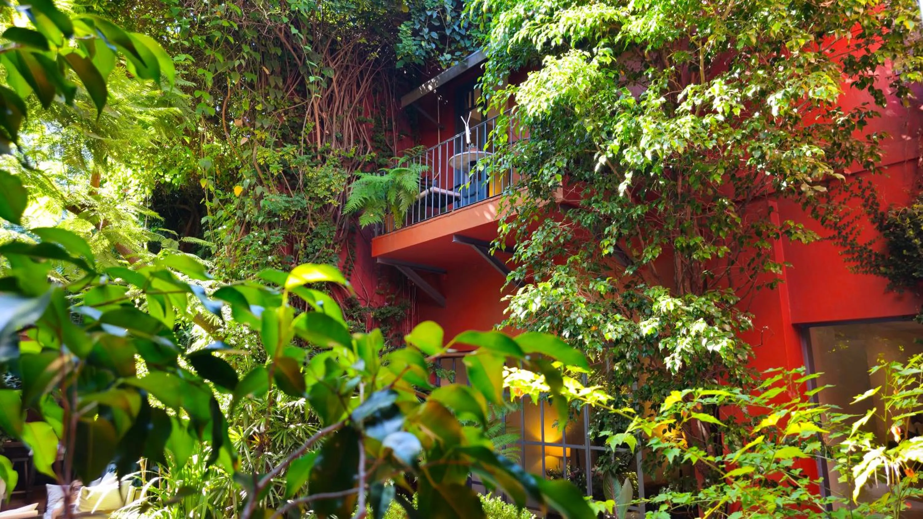 Garden in BE Jardin Escondido By Coppola