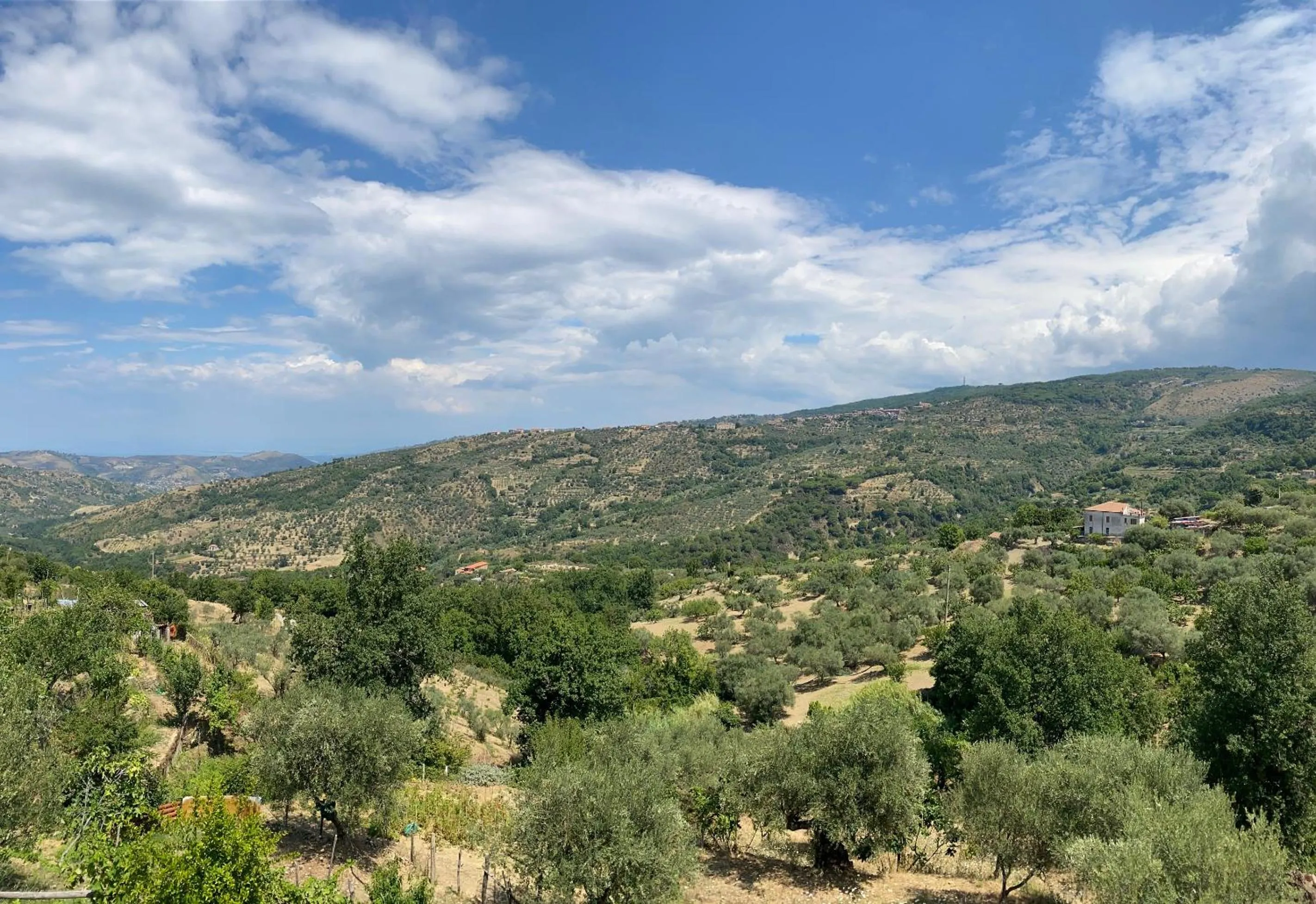 Natural landscape in B & B Il Campanile