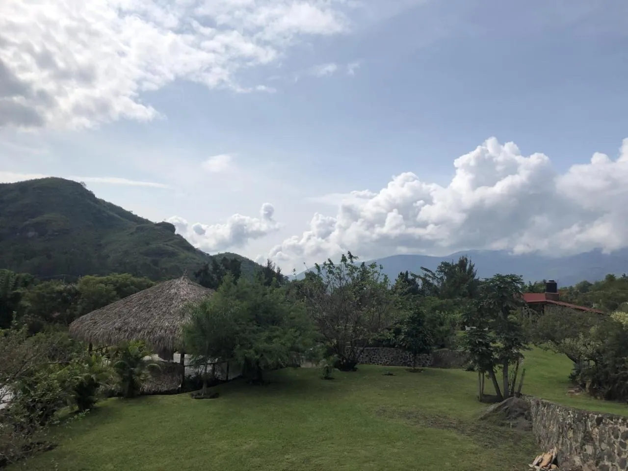 Garden view in Paradise Hotel Boutique & Lounge