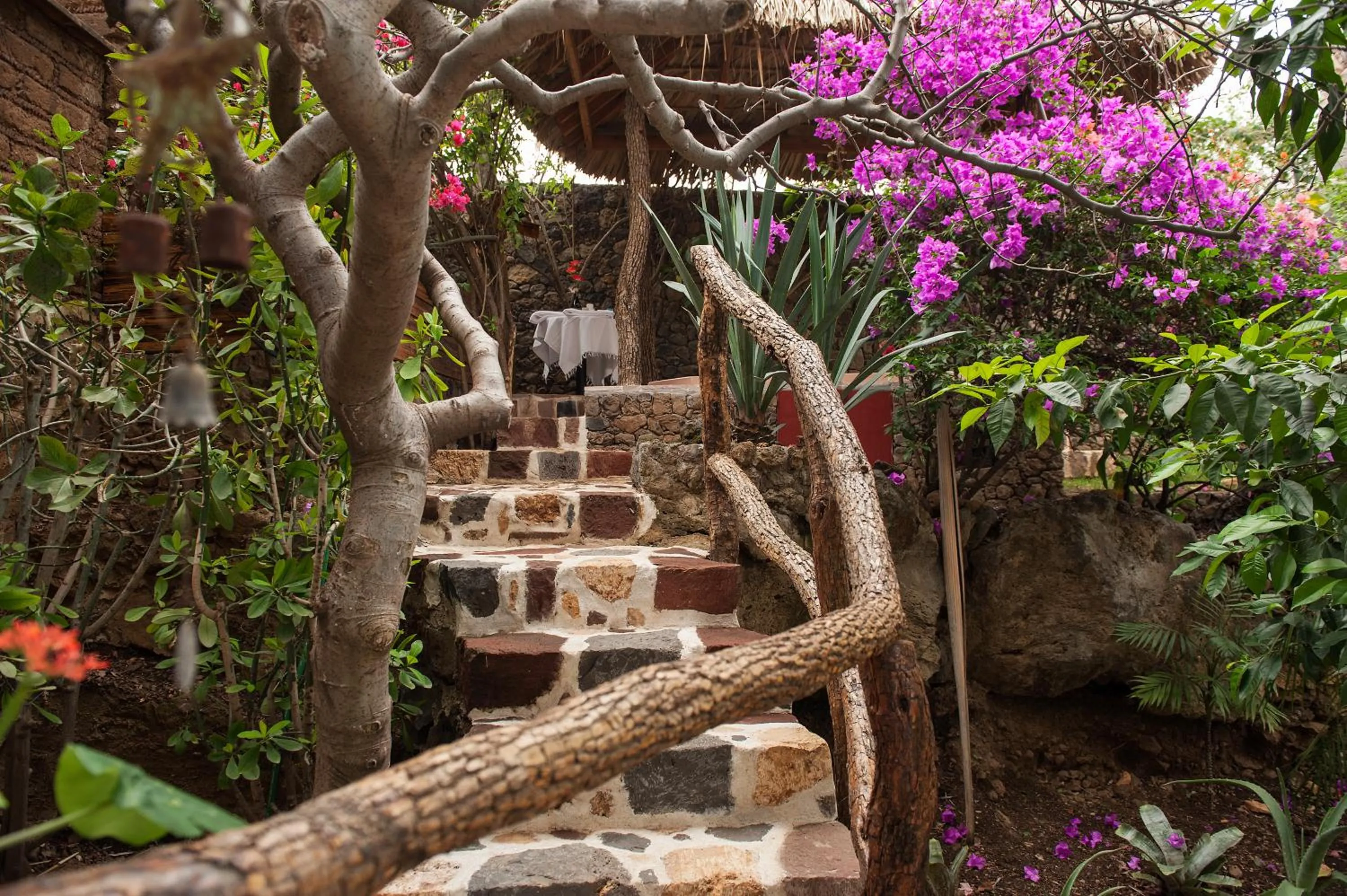 Hot Tub in Paradise Hotel Boutique & Lounge
