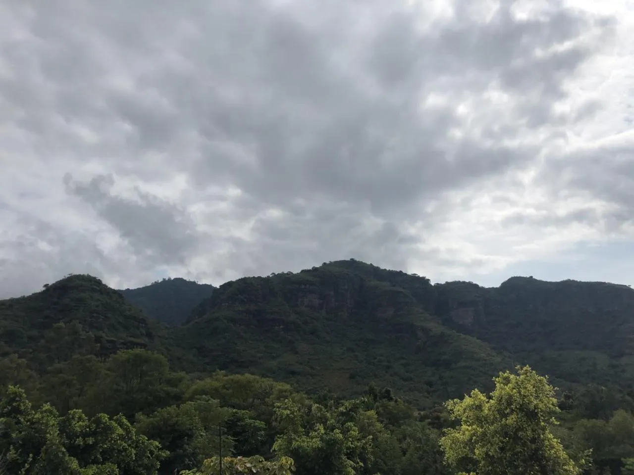 Garden view in Paradise Hotel Boutique & Lounge