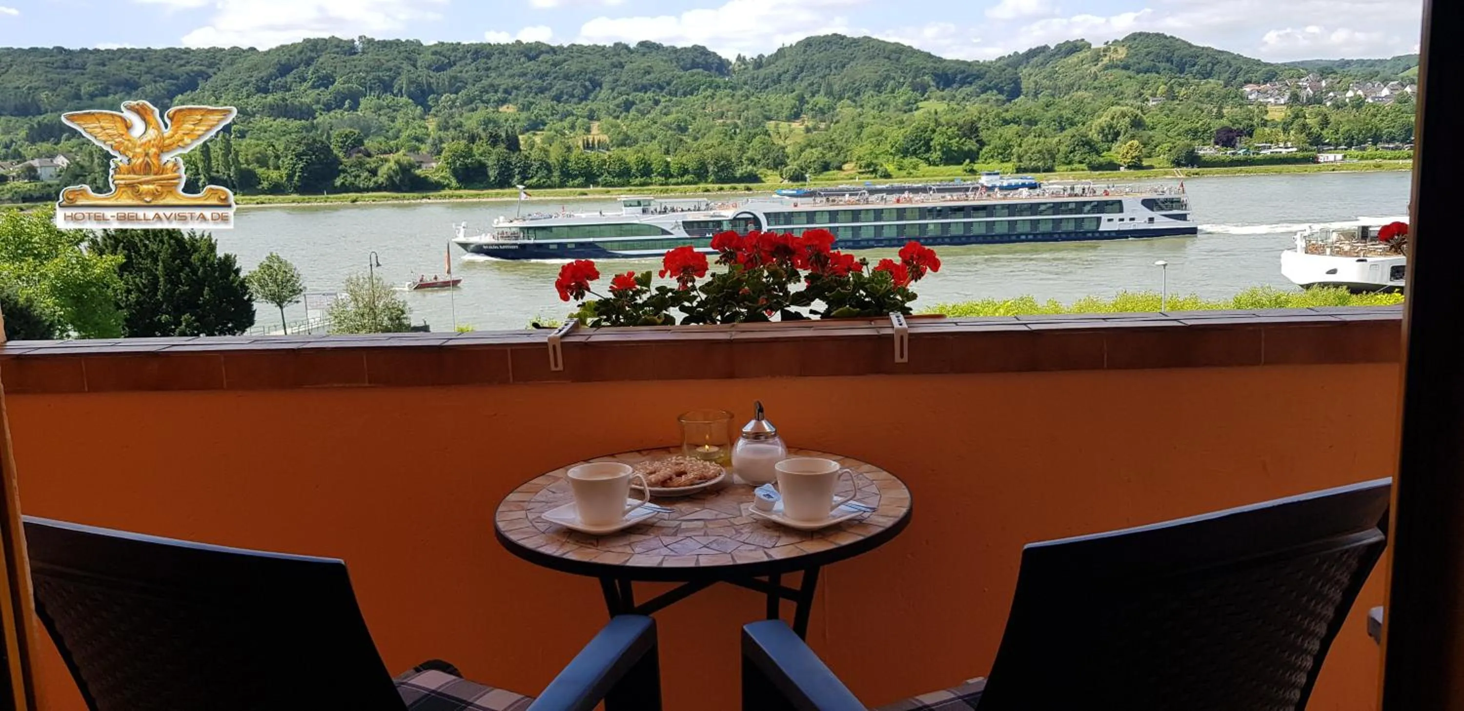 River view in Rheinhotel Bellavista