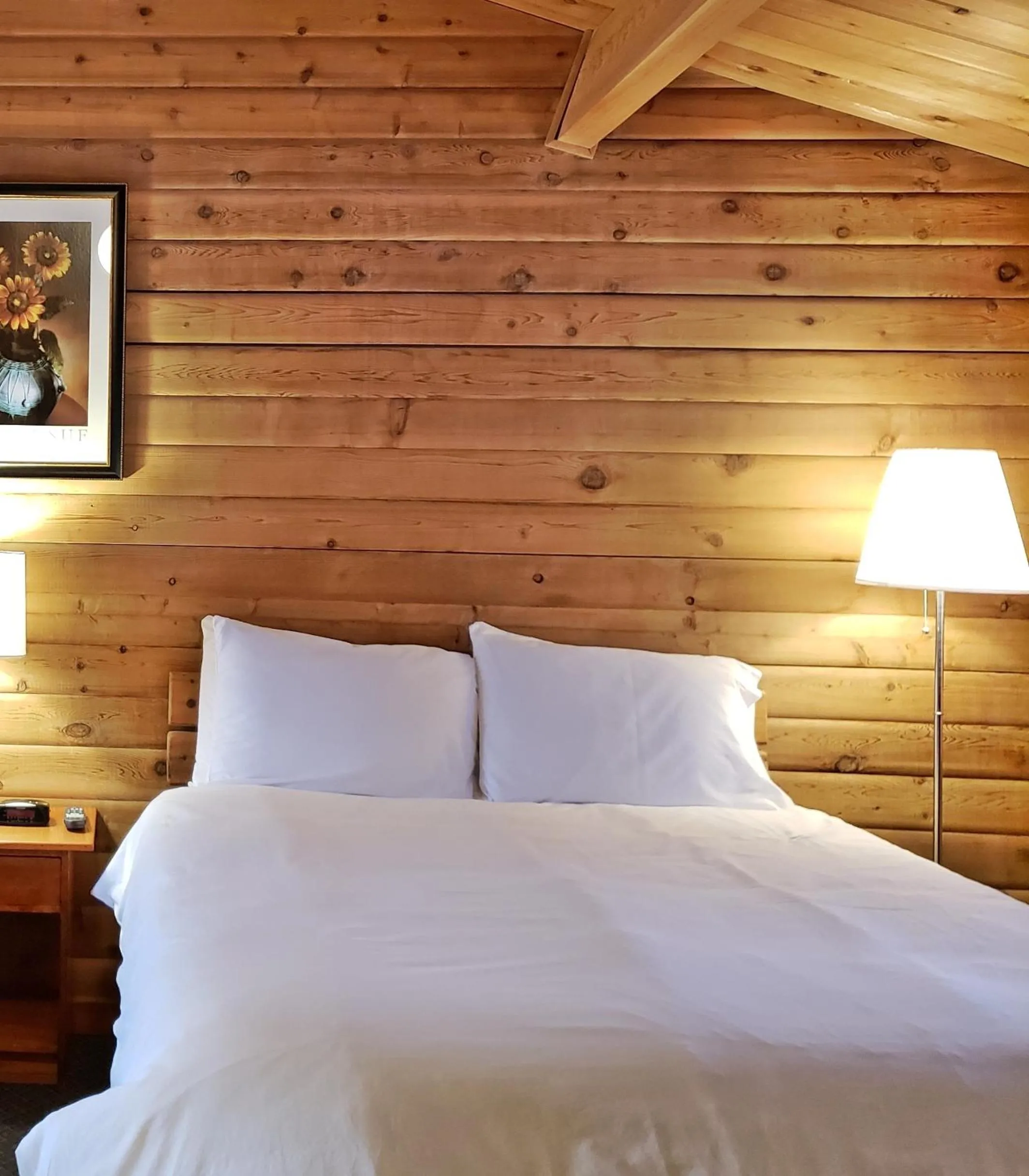 Rocky Inn