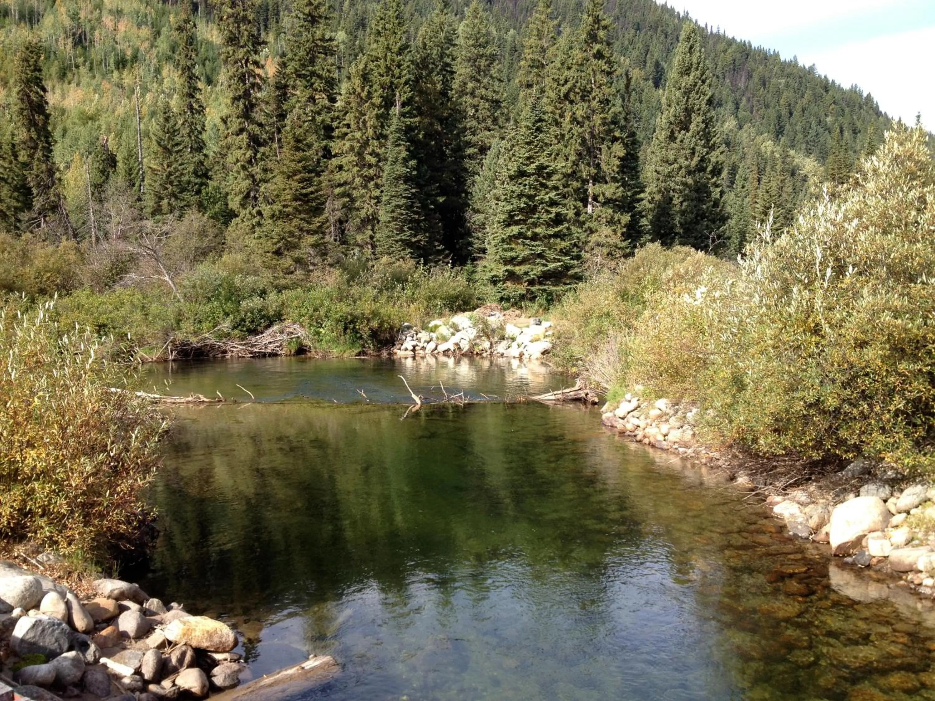 Area and facilities in Summit River Lodge & Campsites