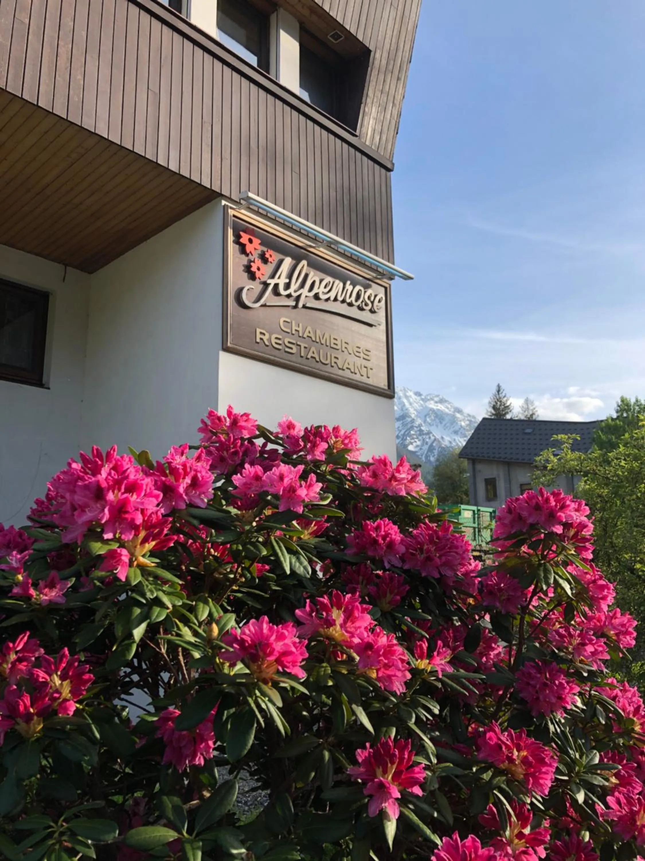 Alpenrose Chamonix