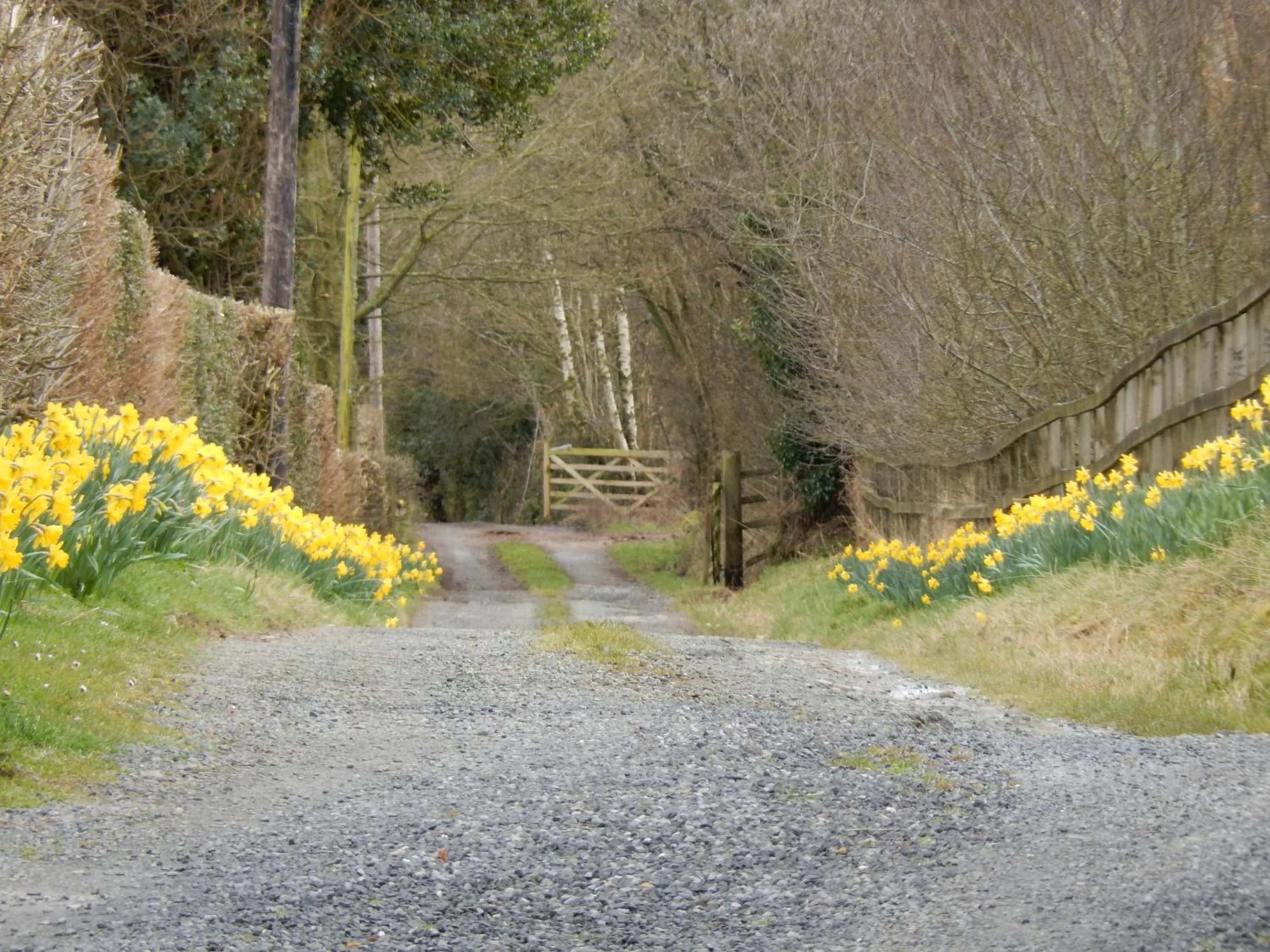 Other in Alltybrain Farm Cottages