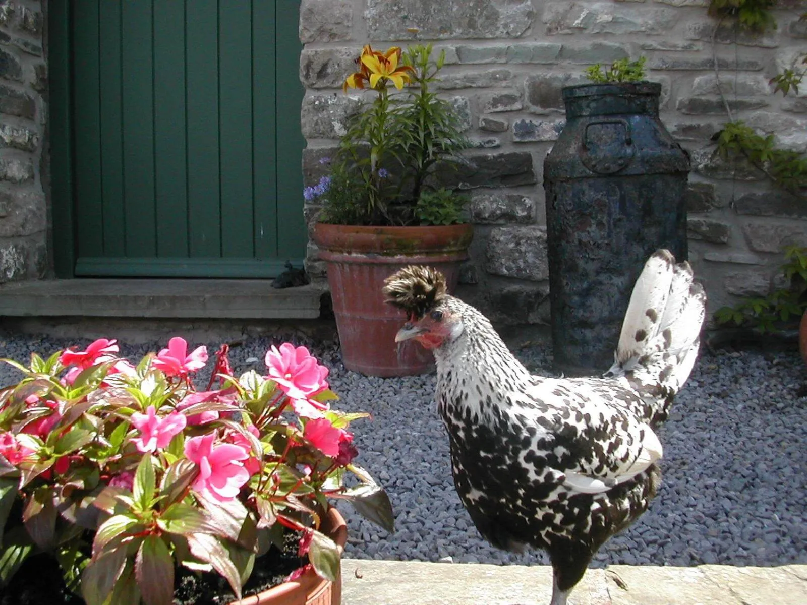 Natural landscape in Alltybrain Farm Cottages