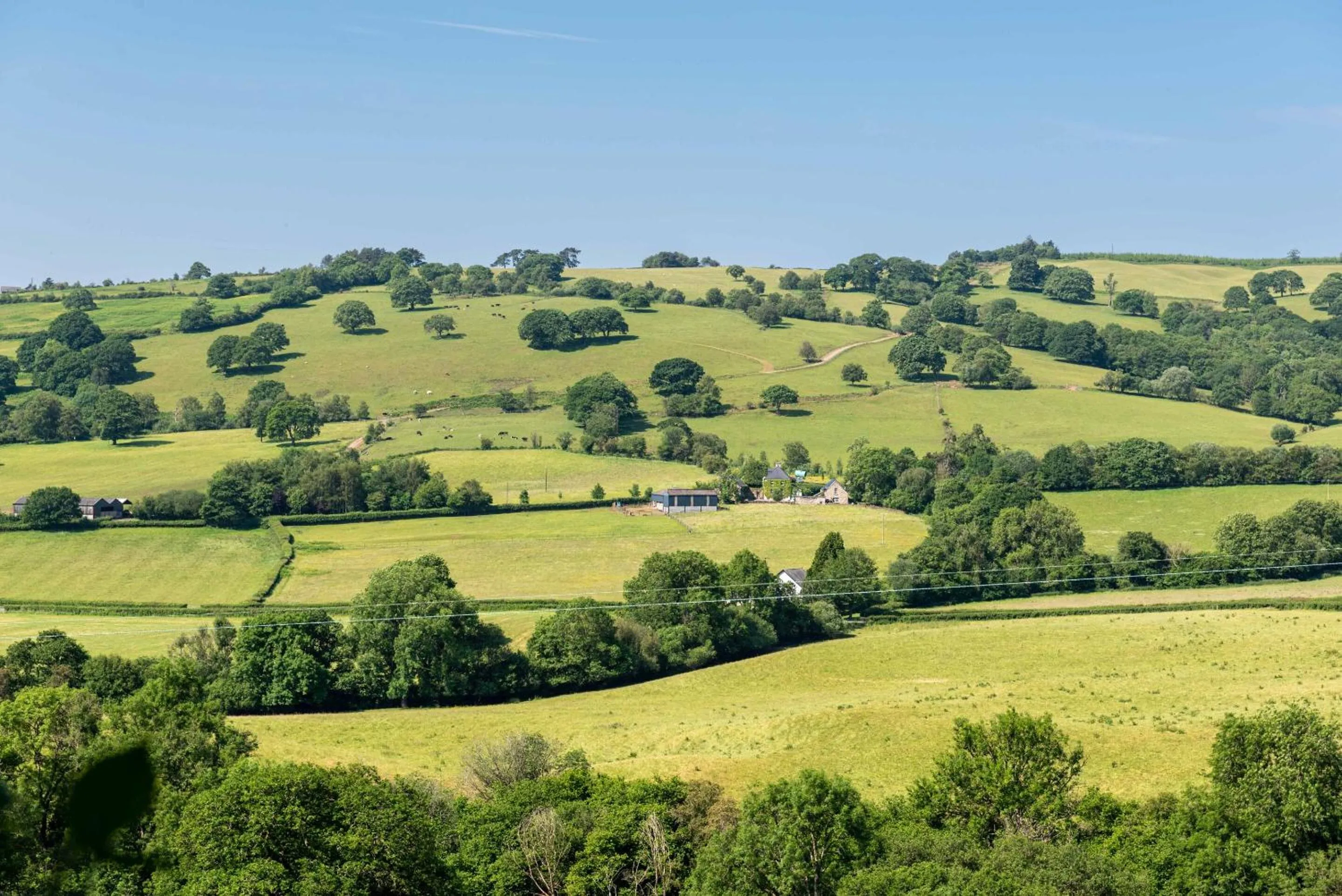 View (from property/room) in Alltybrain Farm Cottages