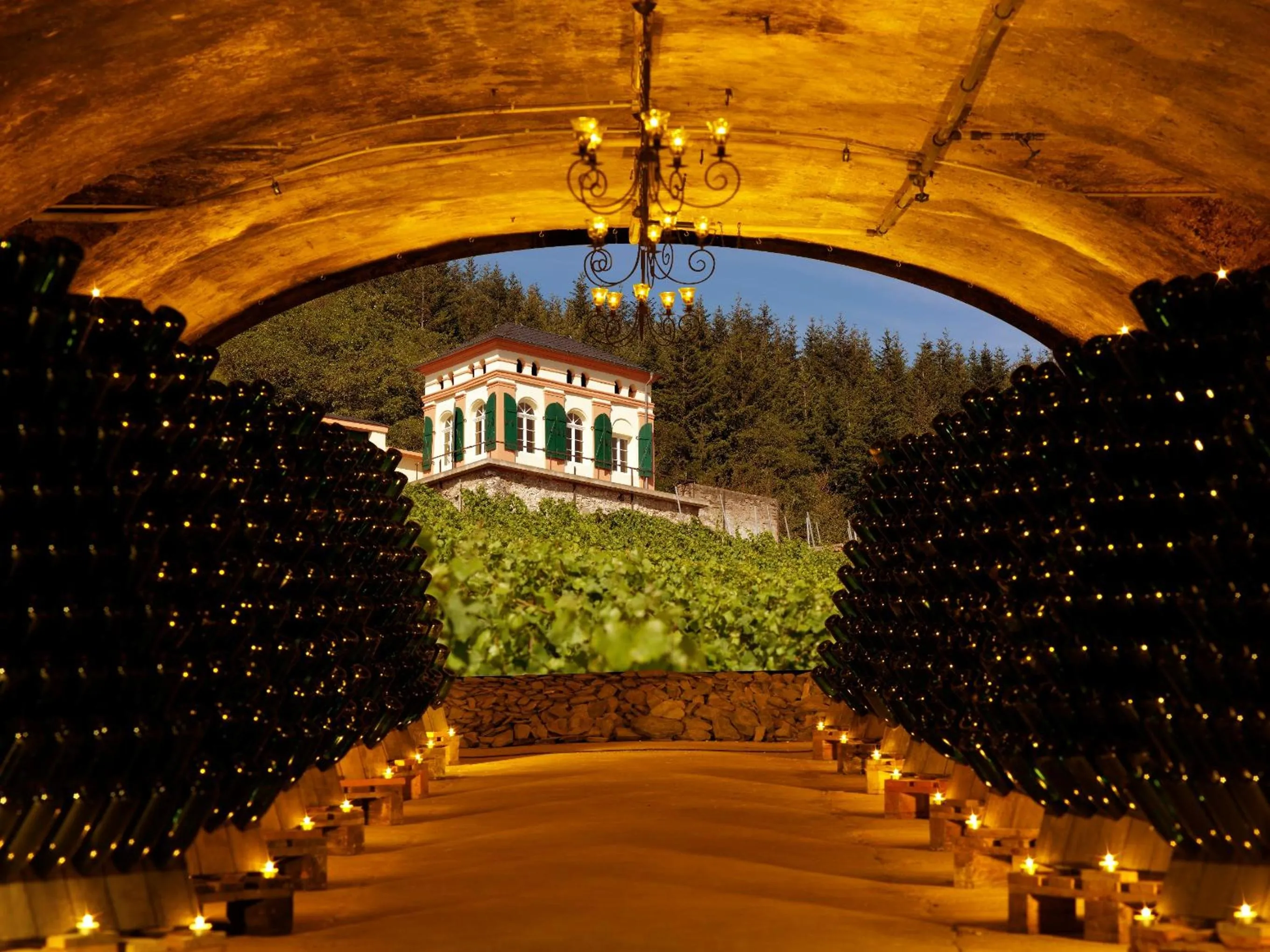 View (from property/room) in Weinromantikhotel Richtershof