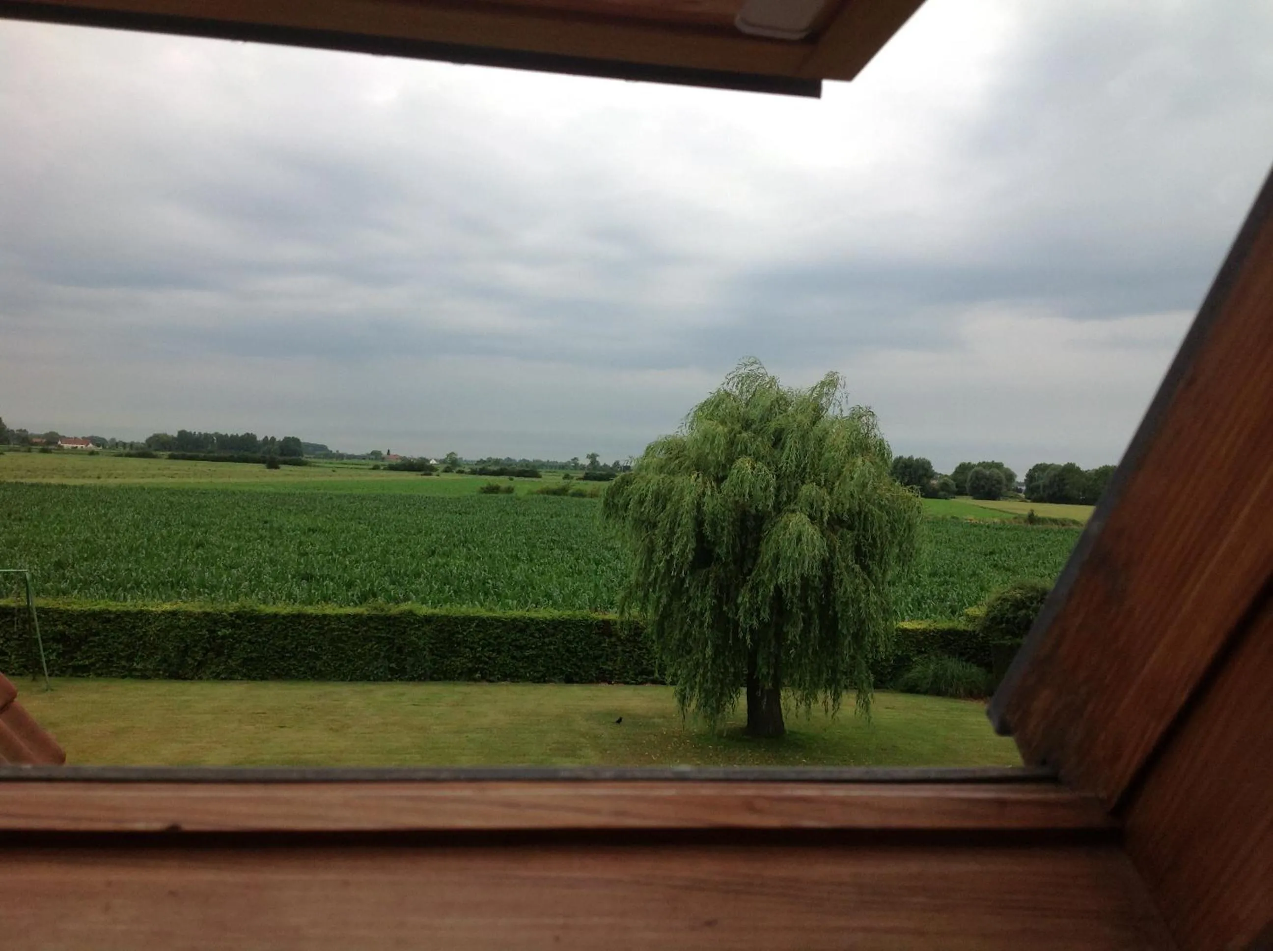 Garden view in B&B Decoster