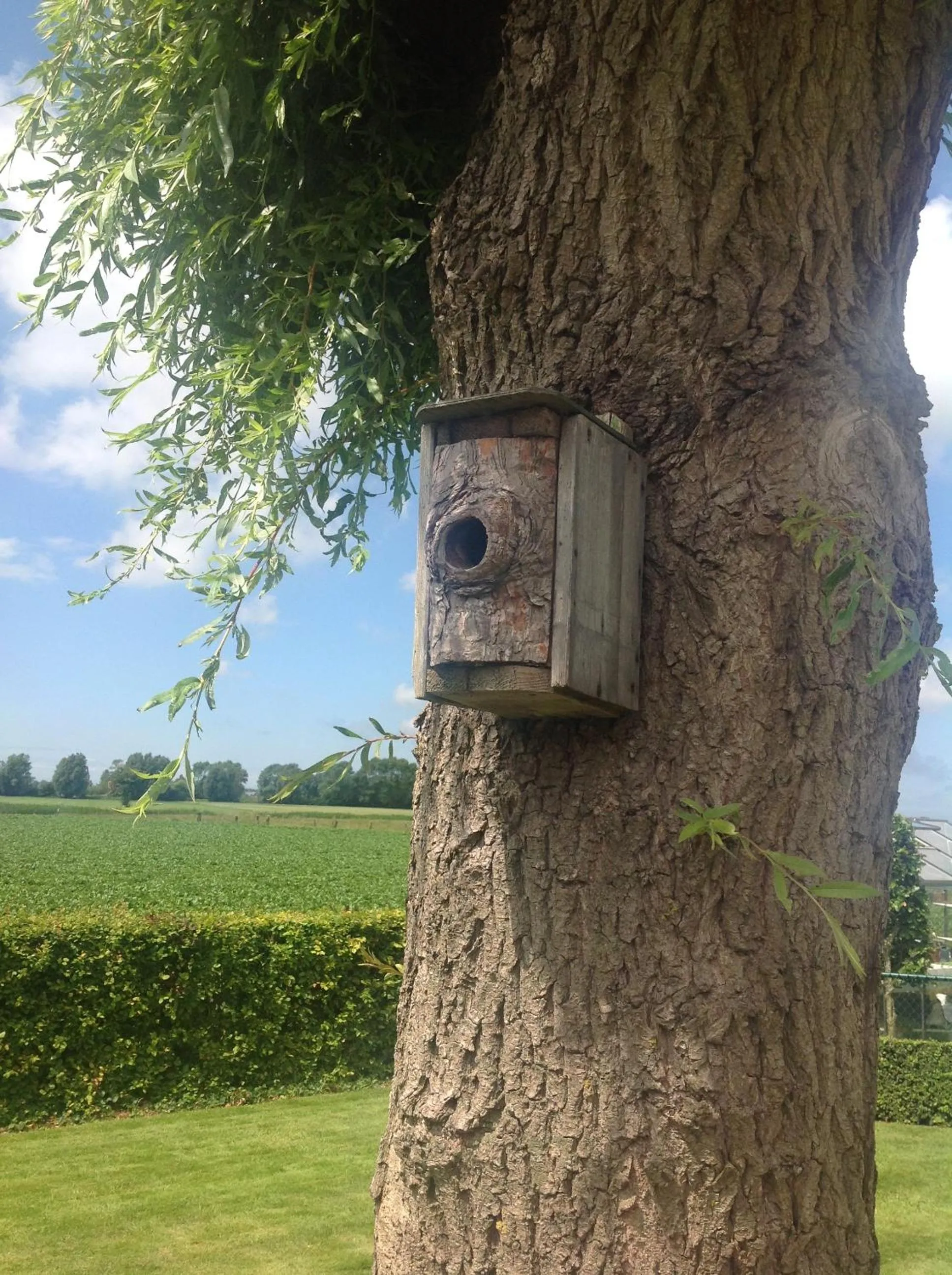 Garden view in B&B Decoster