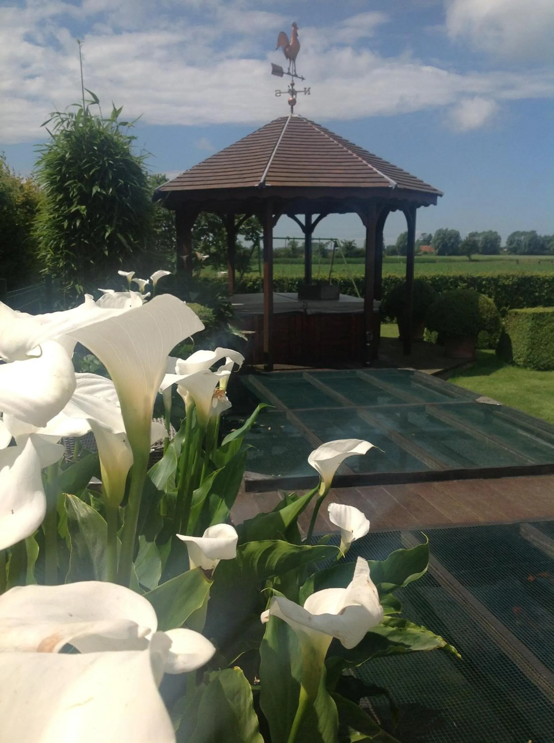 Garden in B&B Decoster