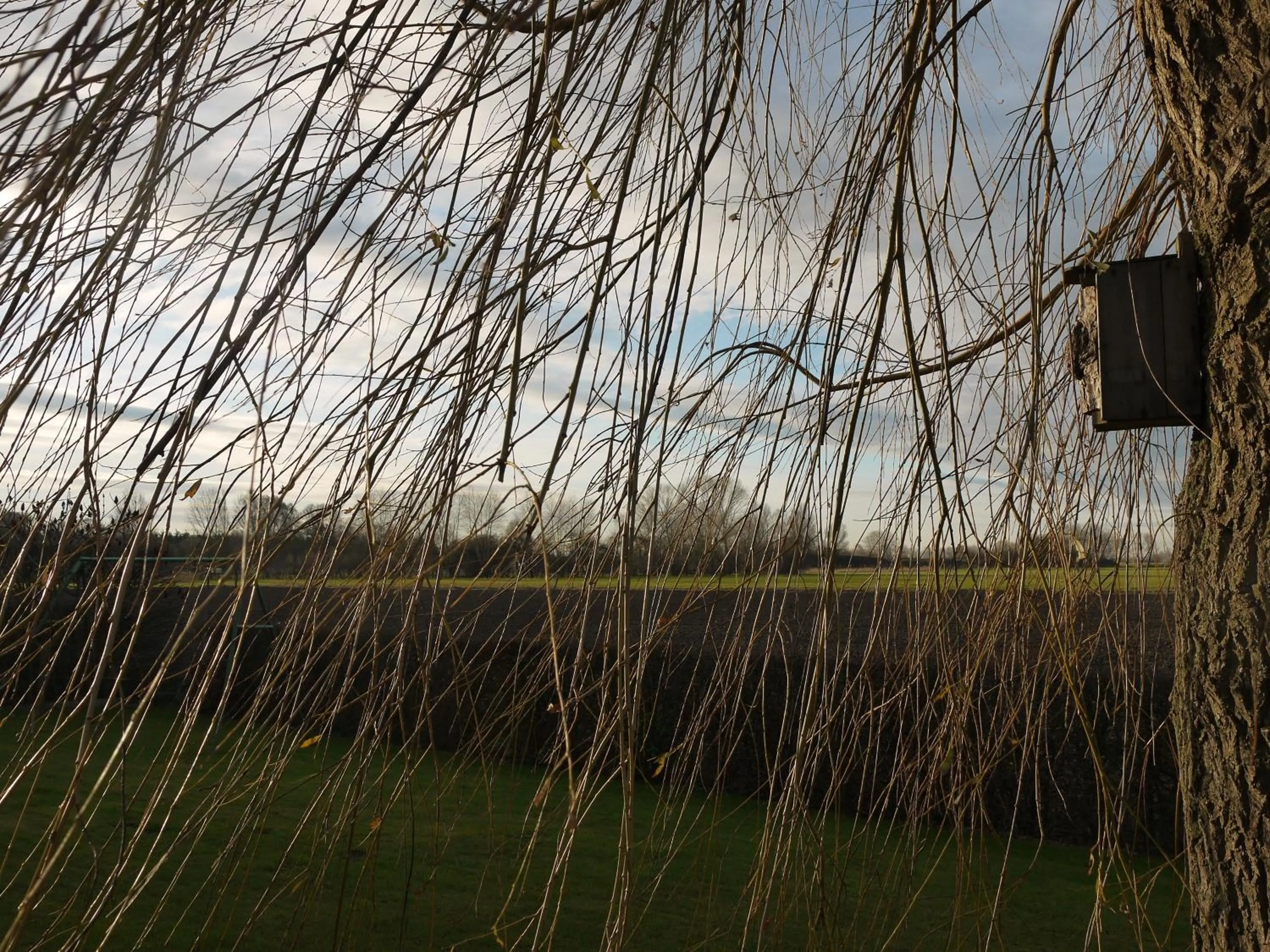 Garden view in B&B Decoster
