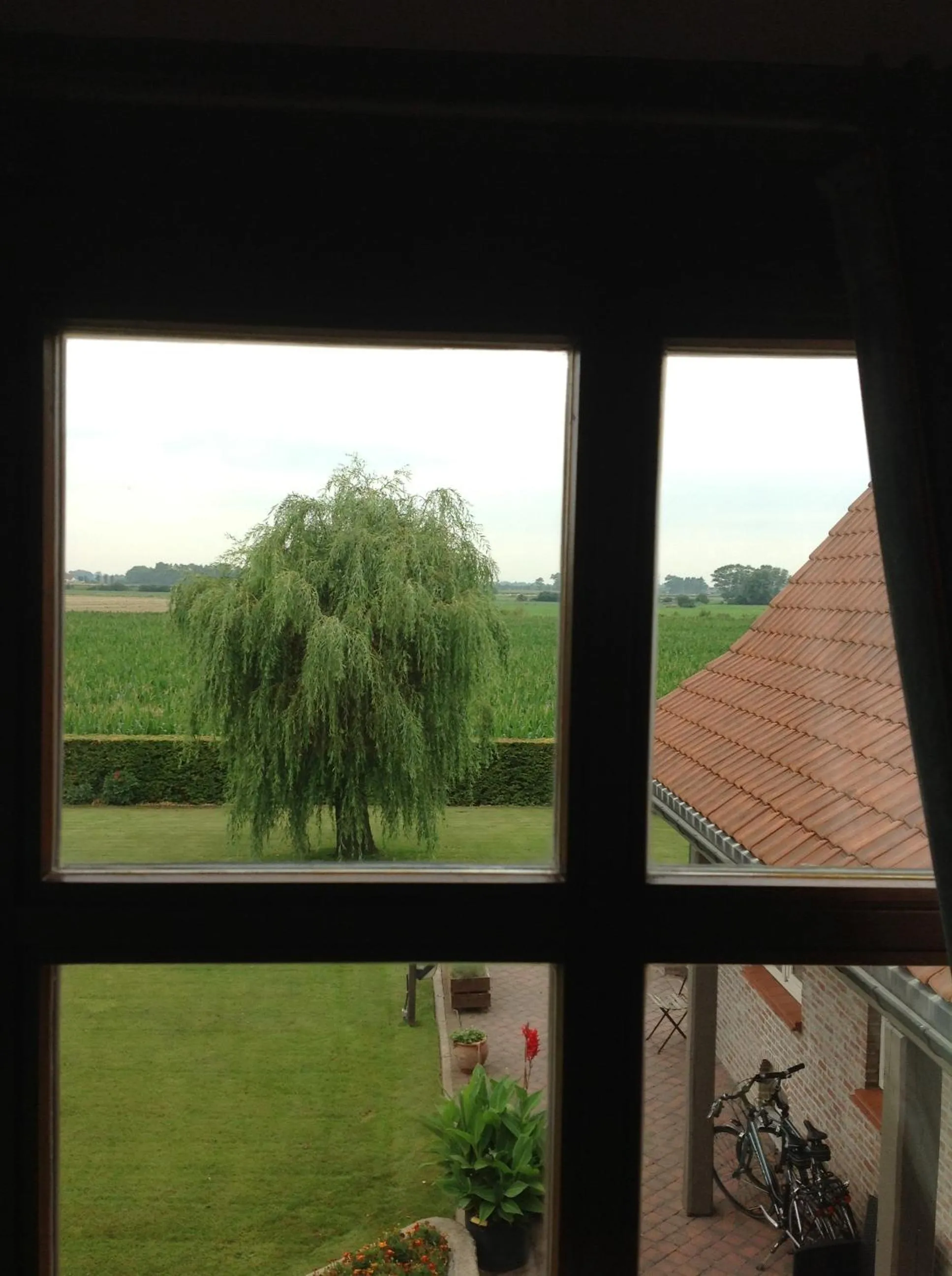 Garden view in B&B Decoster