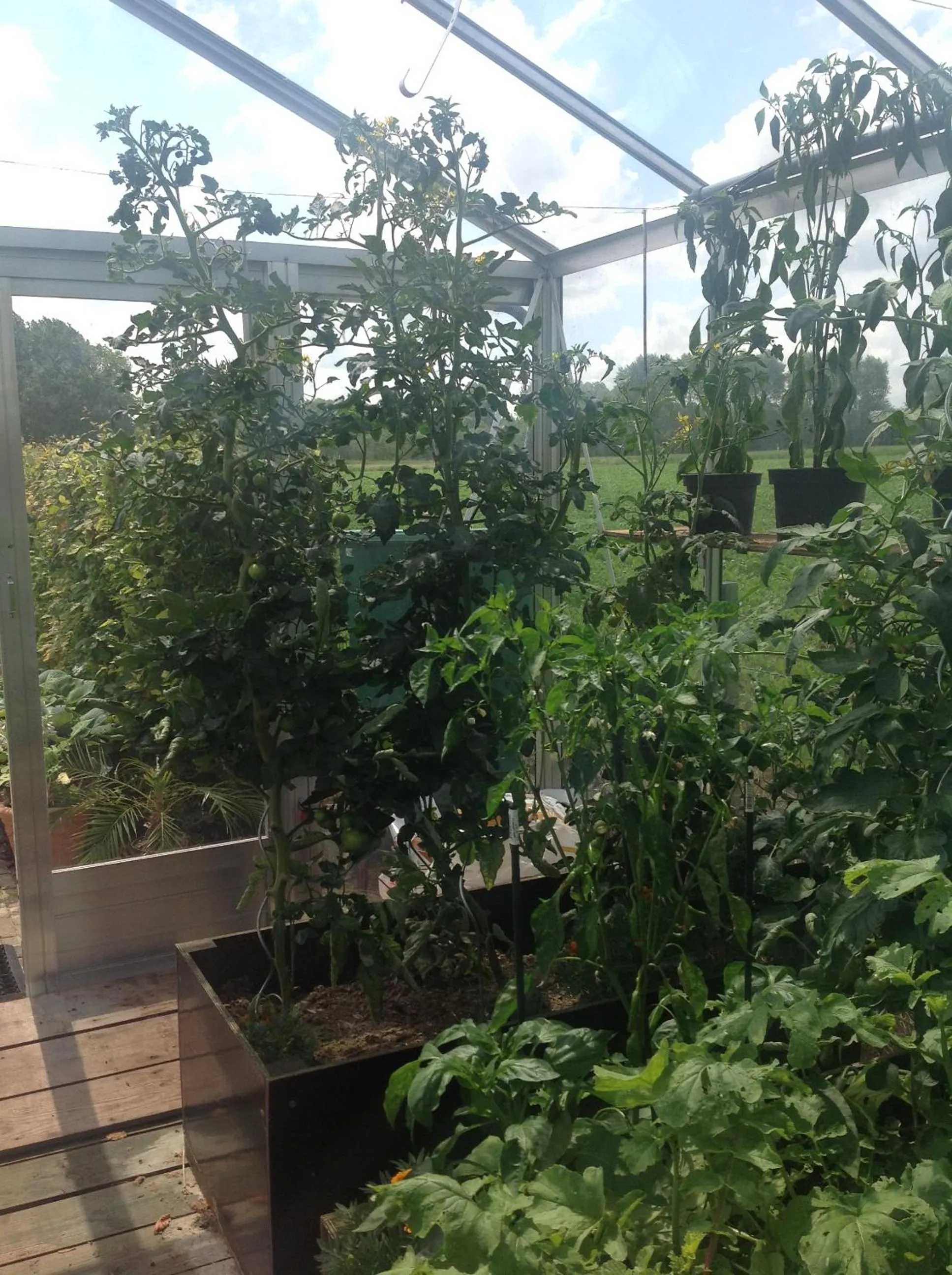 Garden view in B&B Decoster