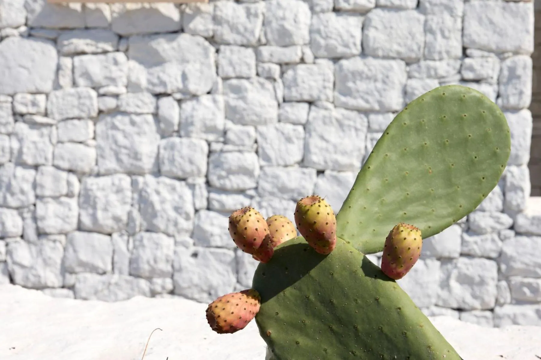 Decorative detail in Mykonos Earth Suites