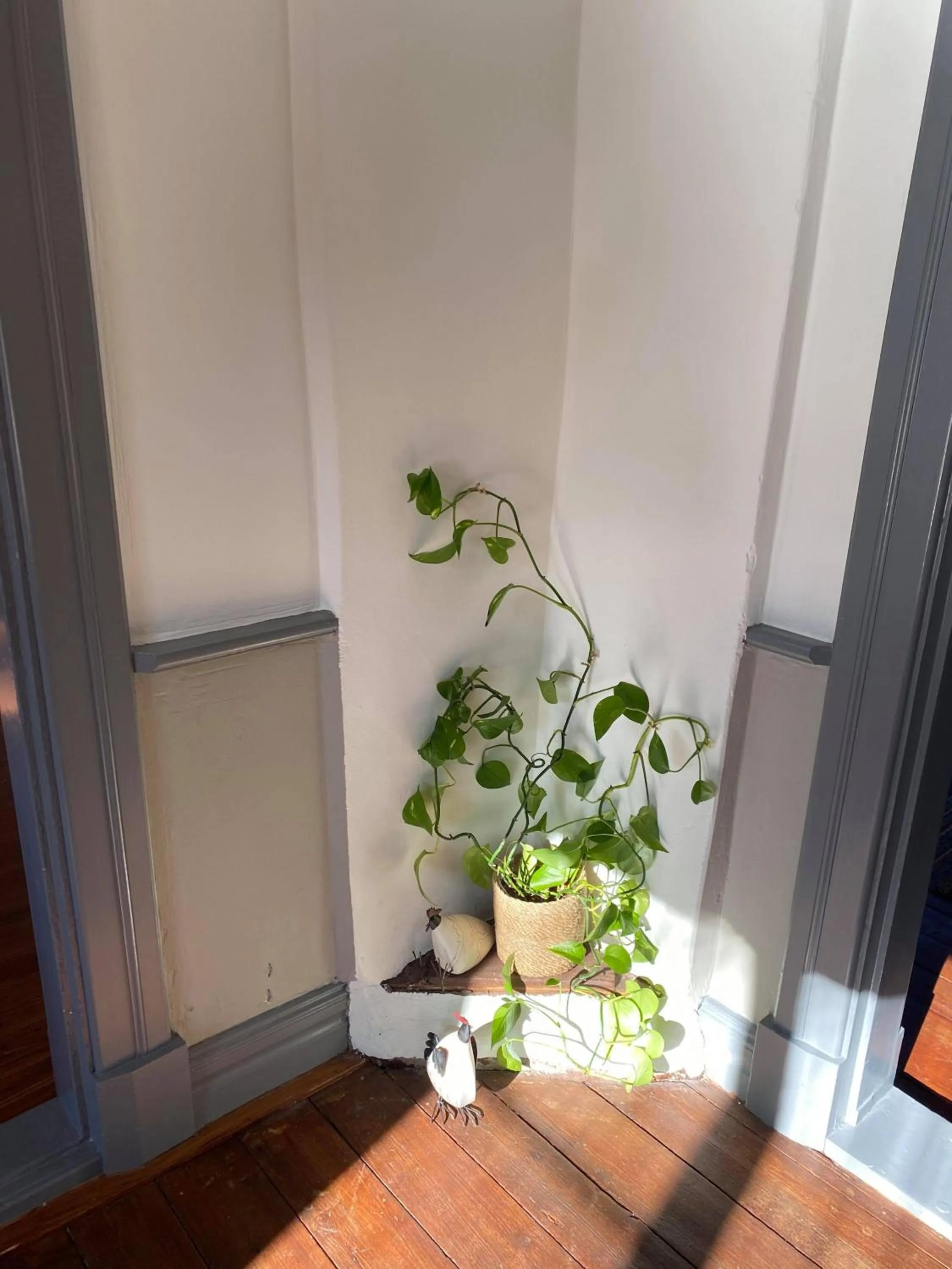 Restaurant/places to eat in Hunnebostrands vandrarhem Gammelgården