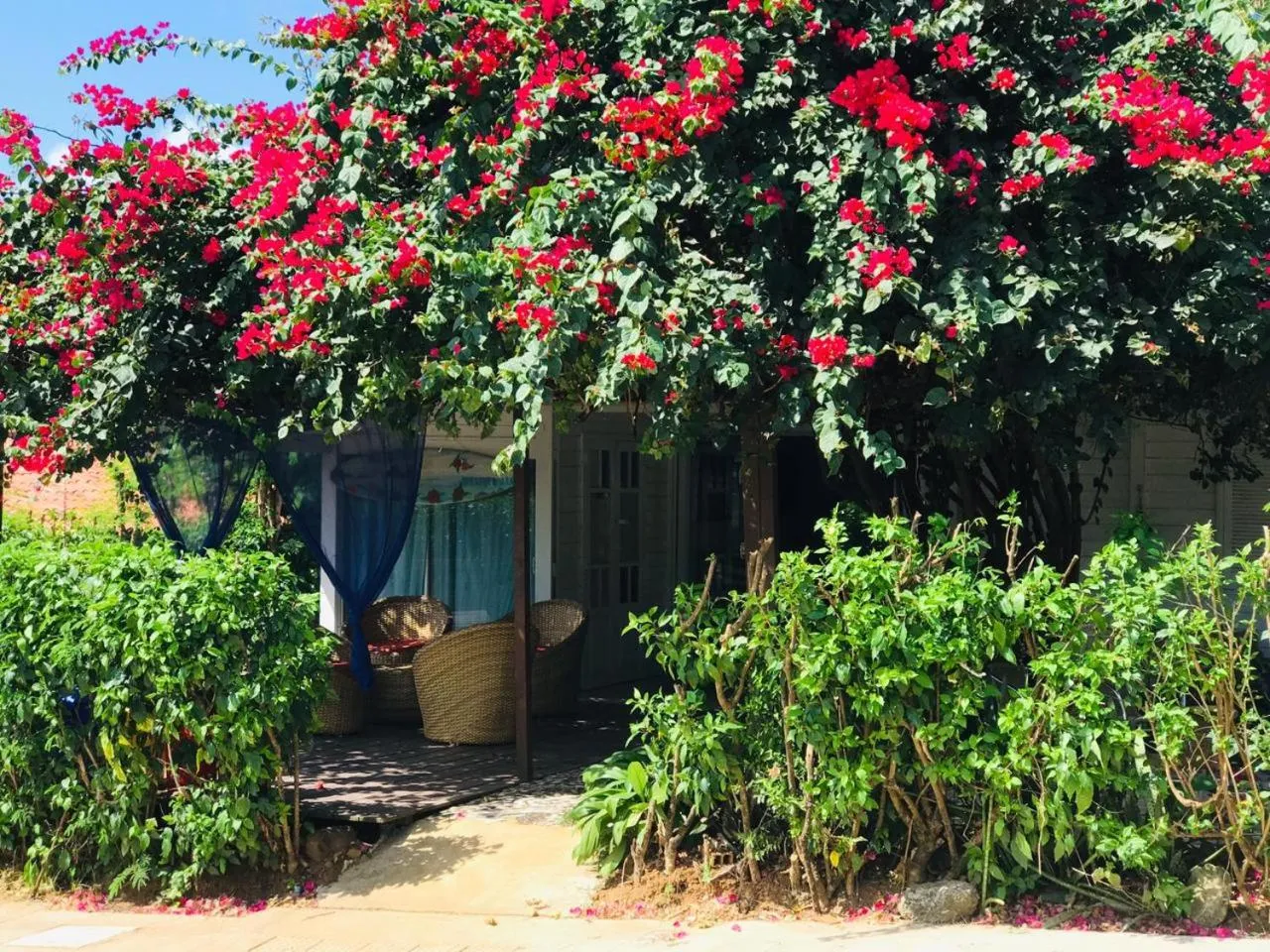 Garden in Pousada Portal dos Golfinhos