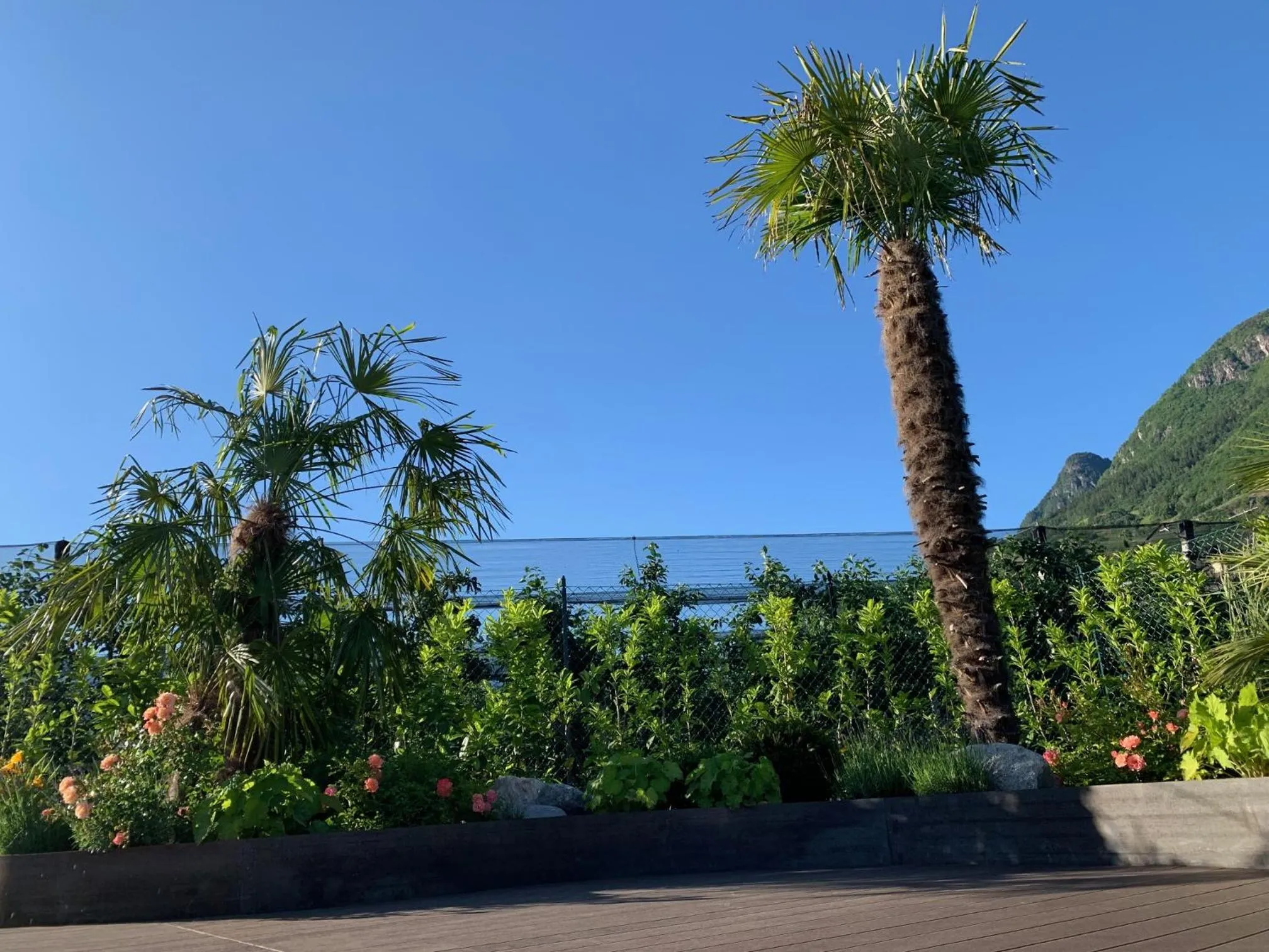 Garden in Apartments ANNY