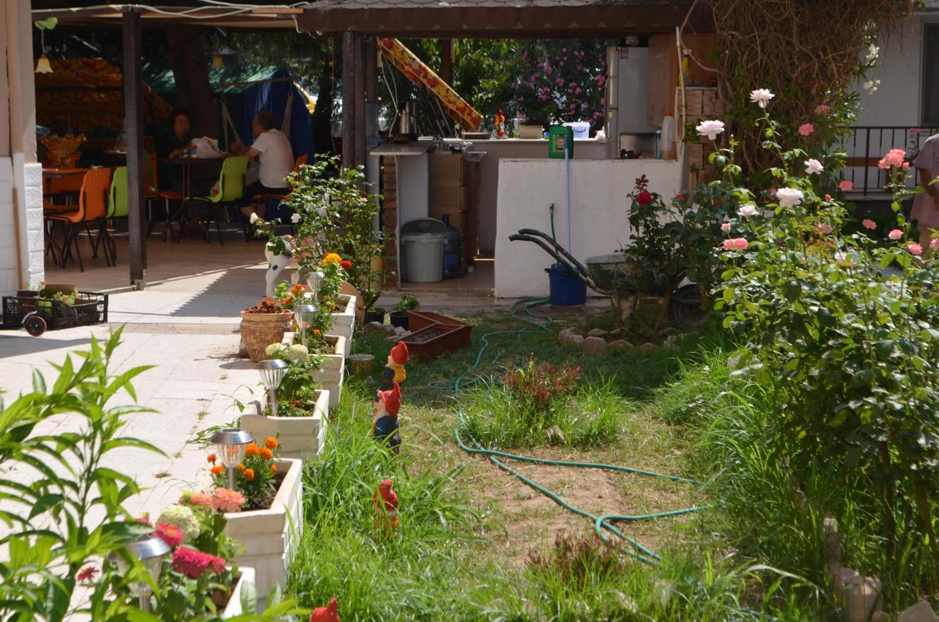 Garden in Ahmeda Apart Hotel