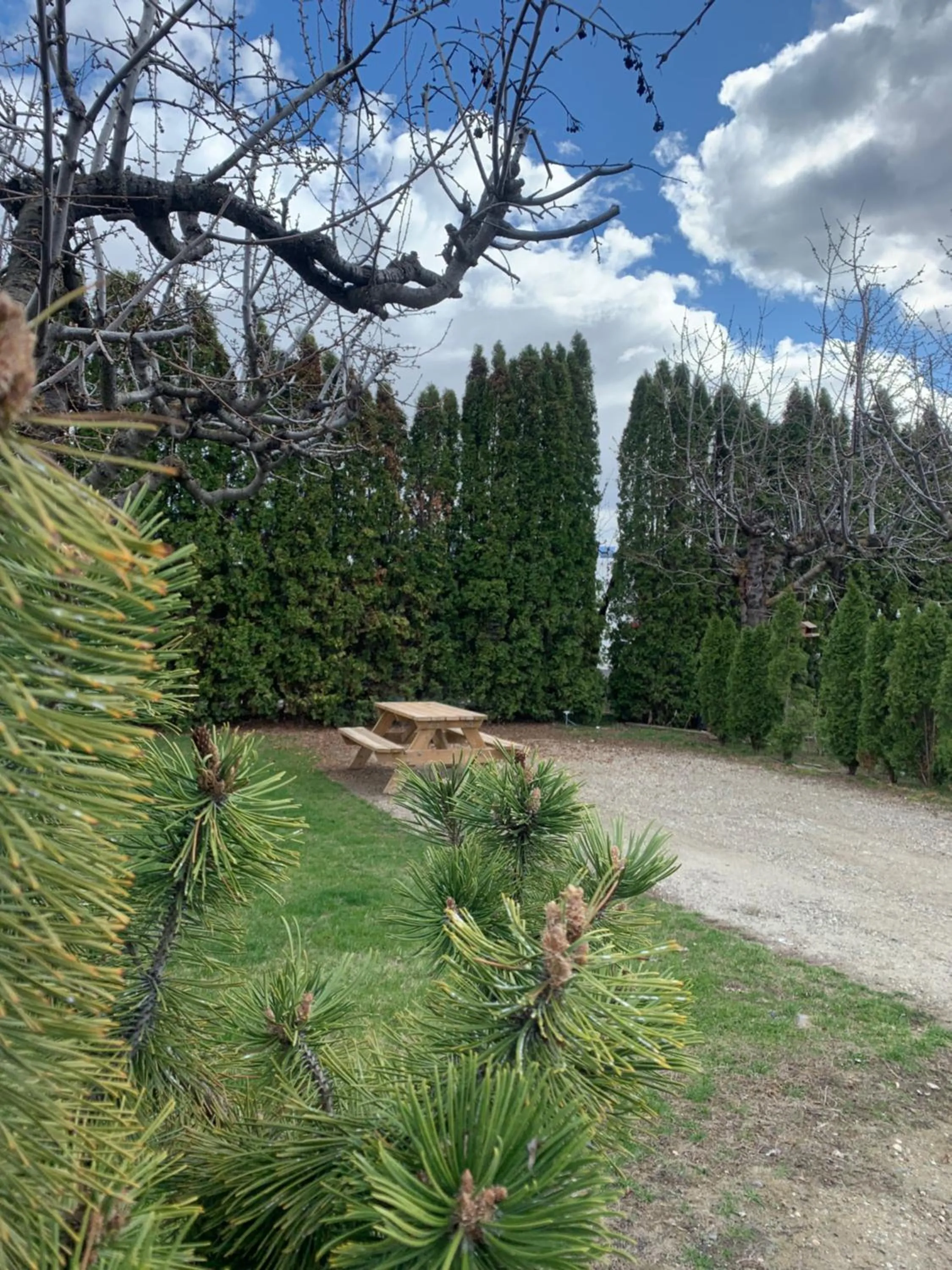 Natural landscape in The Orchard at Oliver