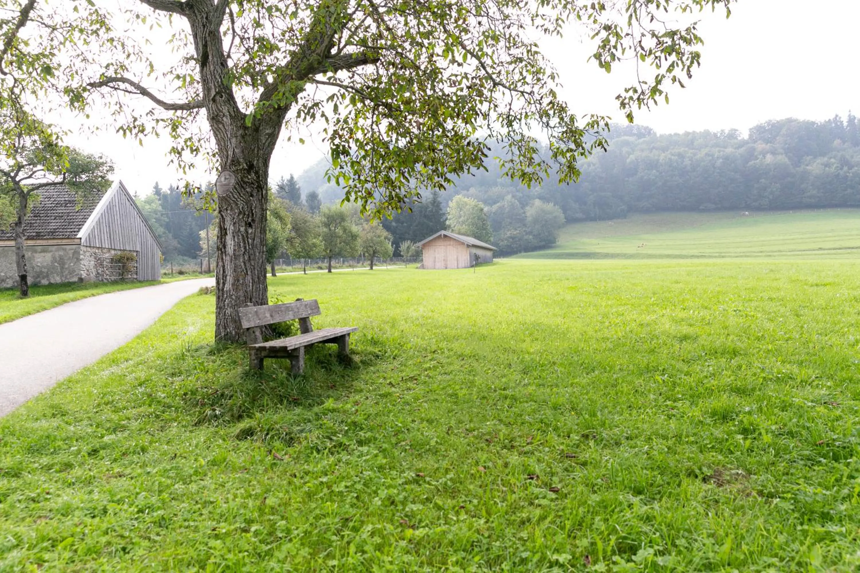 Other in Landgasthof Karner