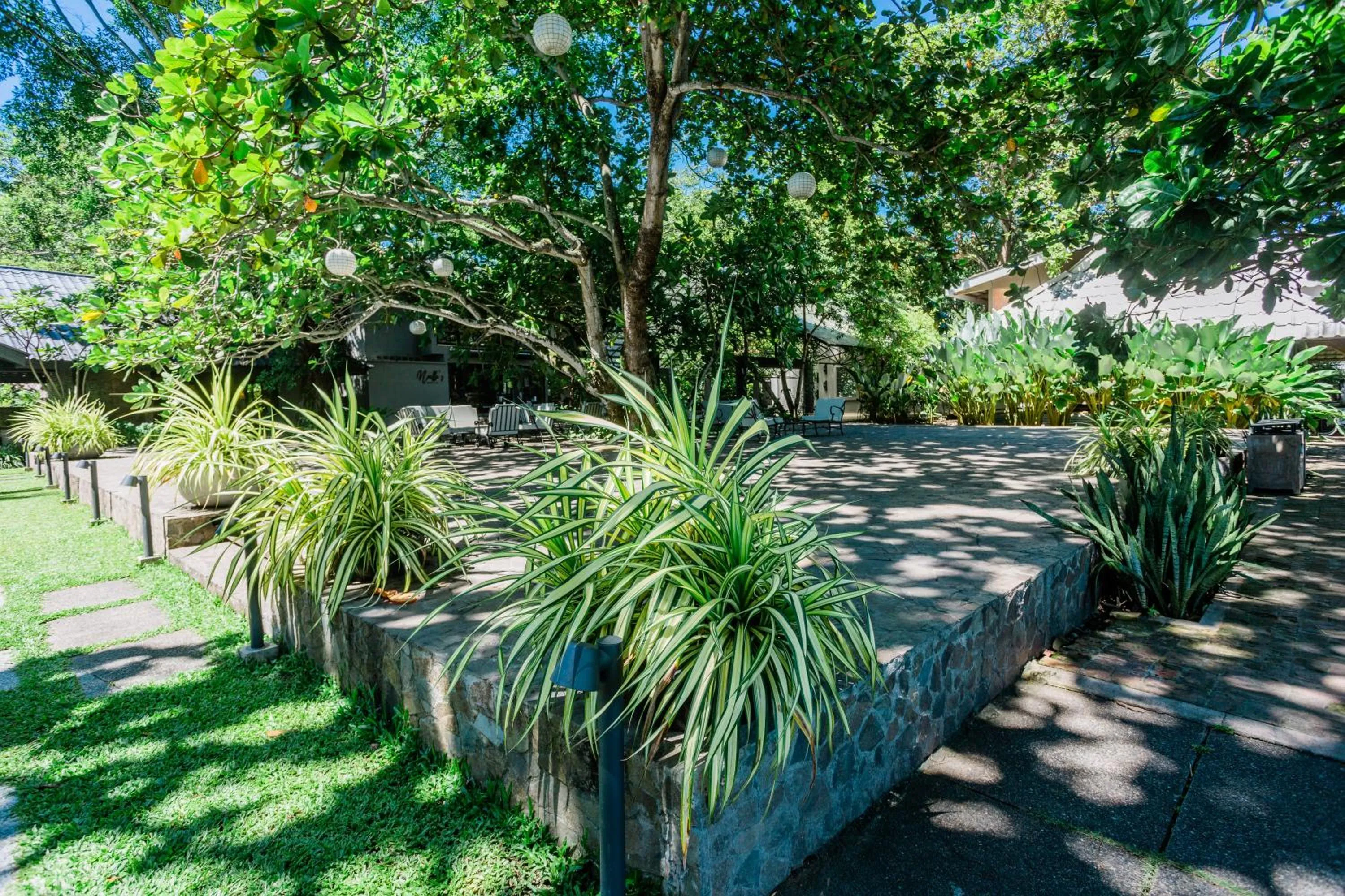 Garden in The Henry Resort Dumaguete