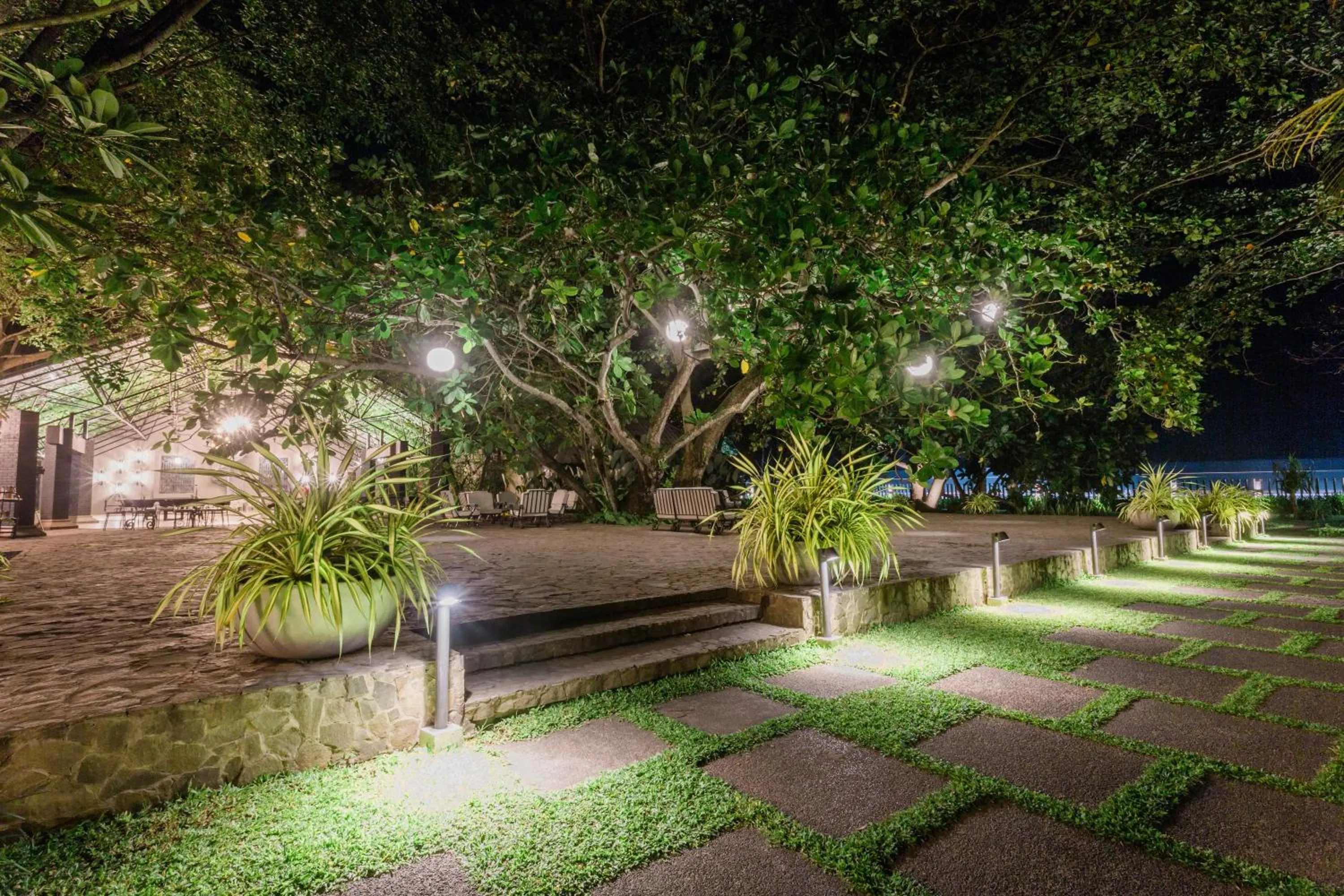 Garden in The Henry Resort Dumaguete