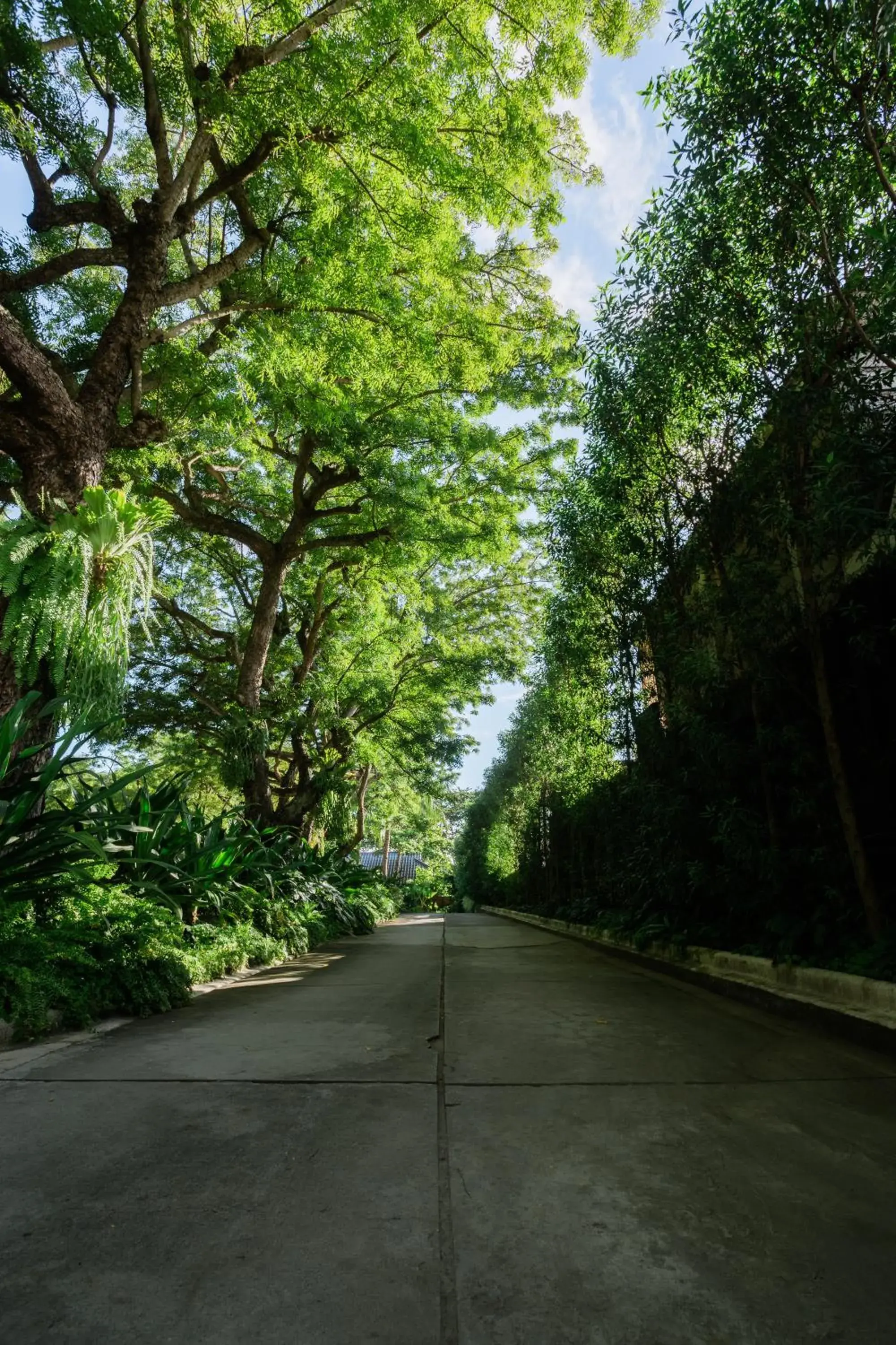 Facade/entrance in The Henry Resort Dumaguete Facade/entrance in The Henry Resort Dumaguete