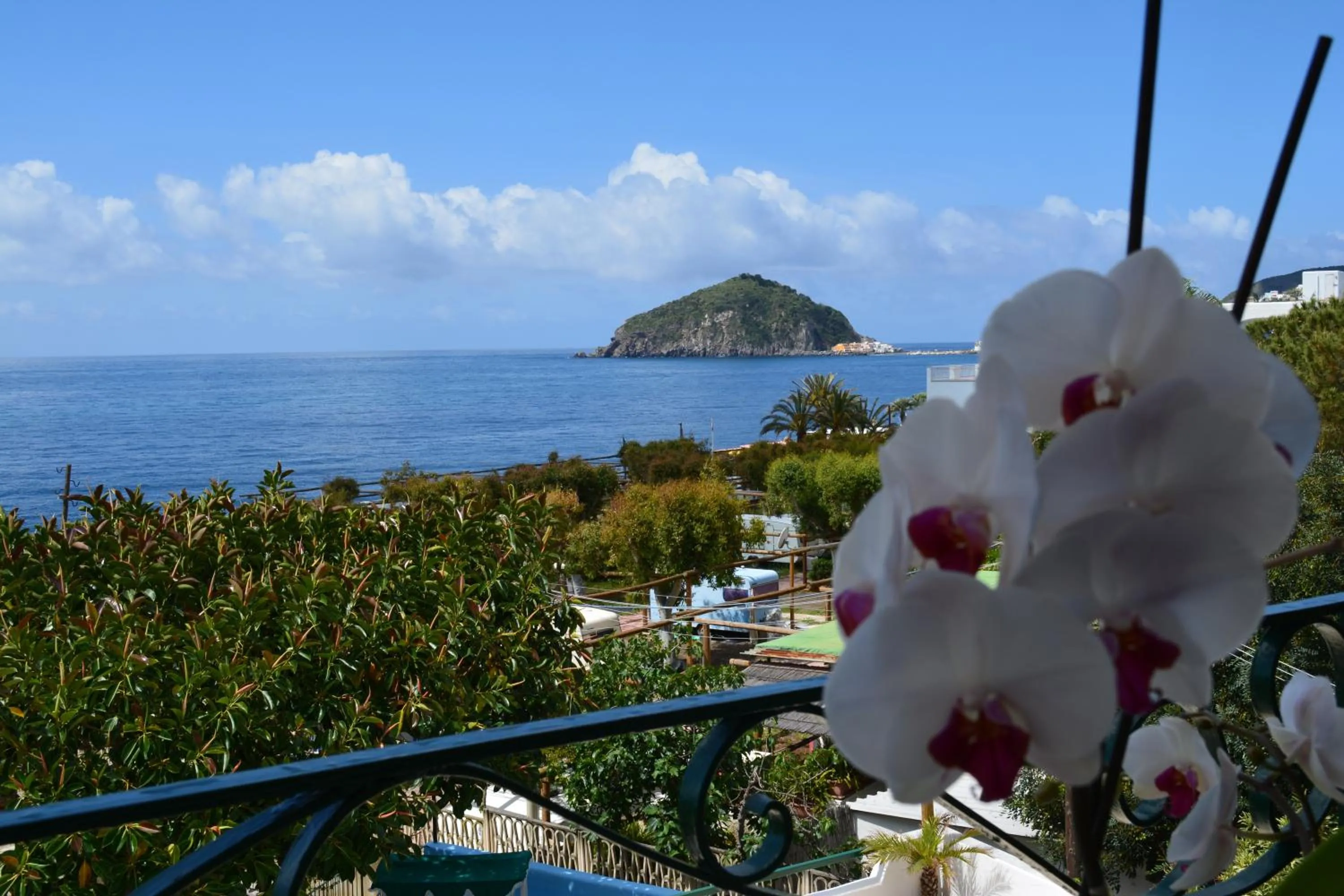 Balcony/Terrace in Hotel Maronti