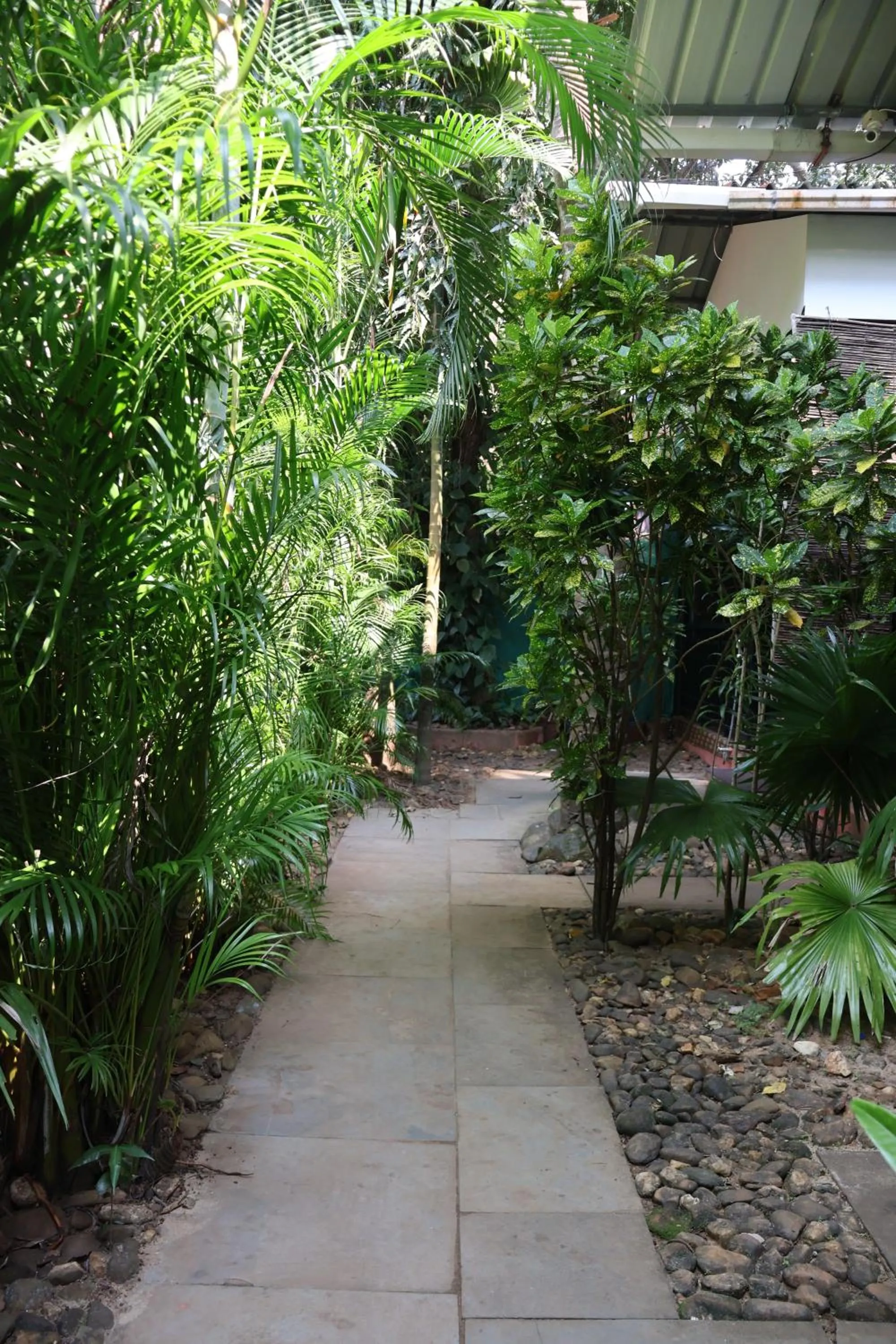 Garden view in Patnem Beach Cottages