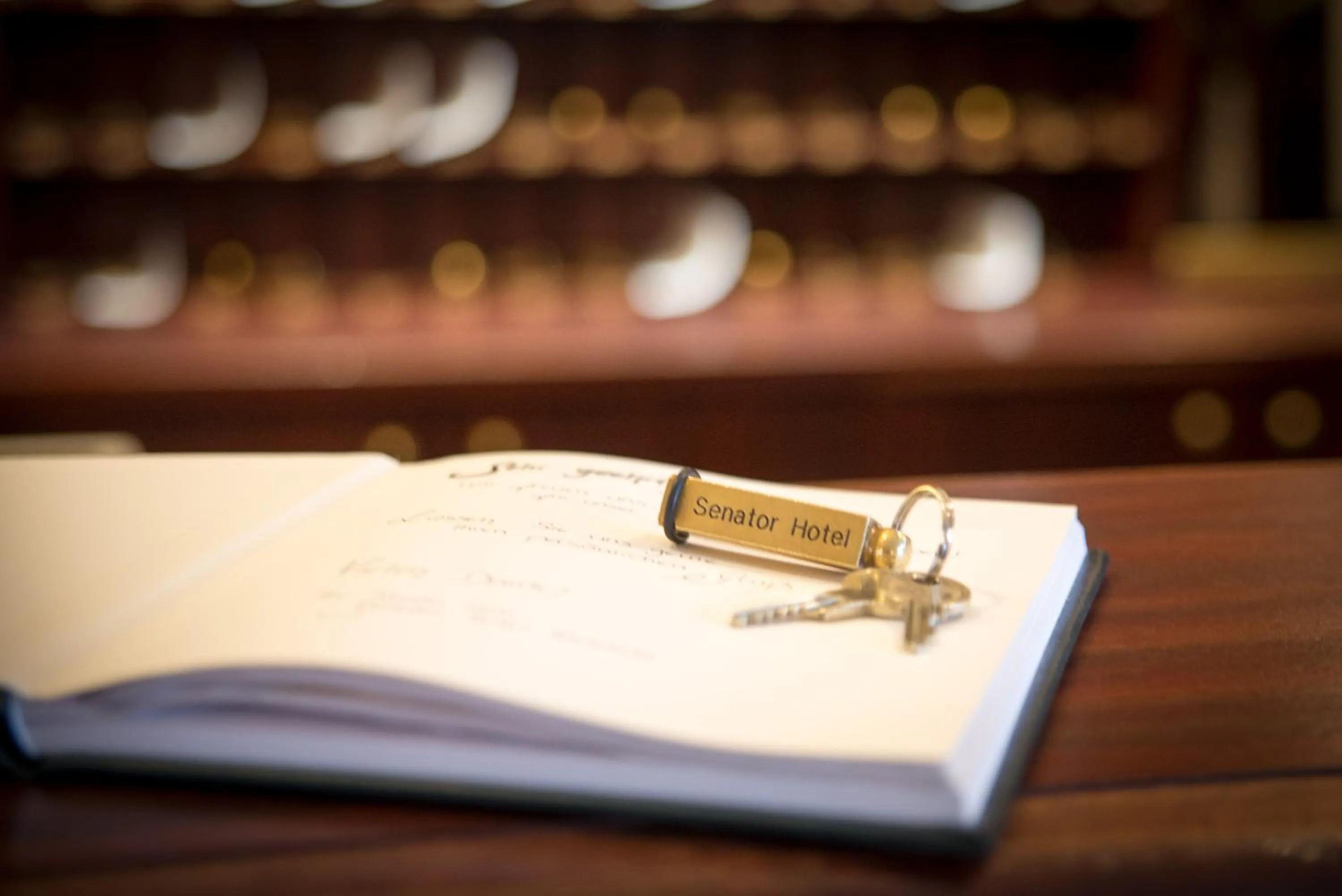 Lobby or reception in Hotel Senator