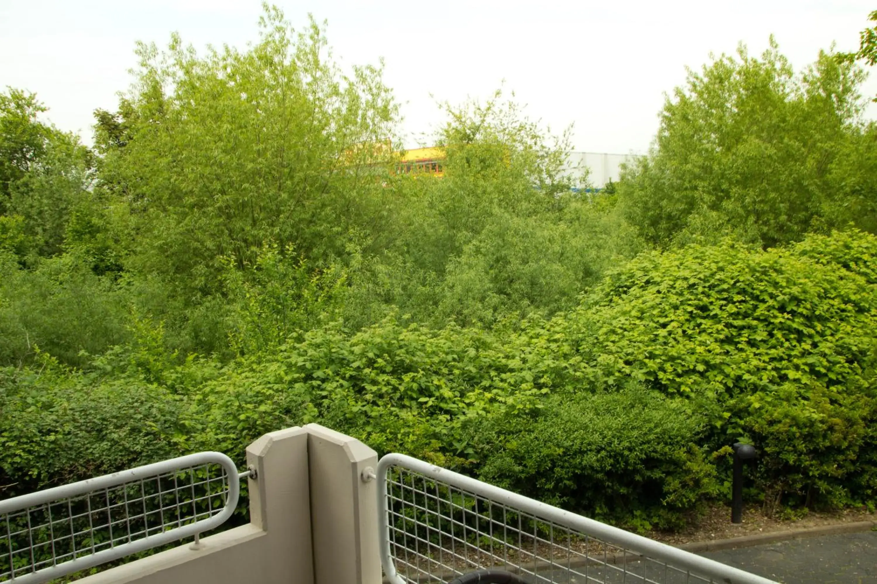 View (from property/room) in Hotel Senator View (from property/room) in Hotel Senator