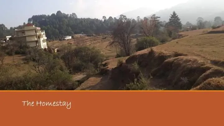 Natural landscape in Sparrow Nest