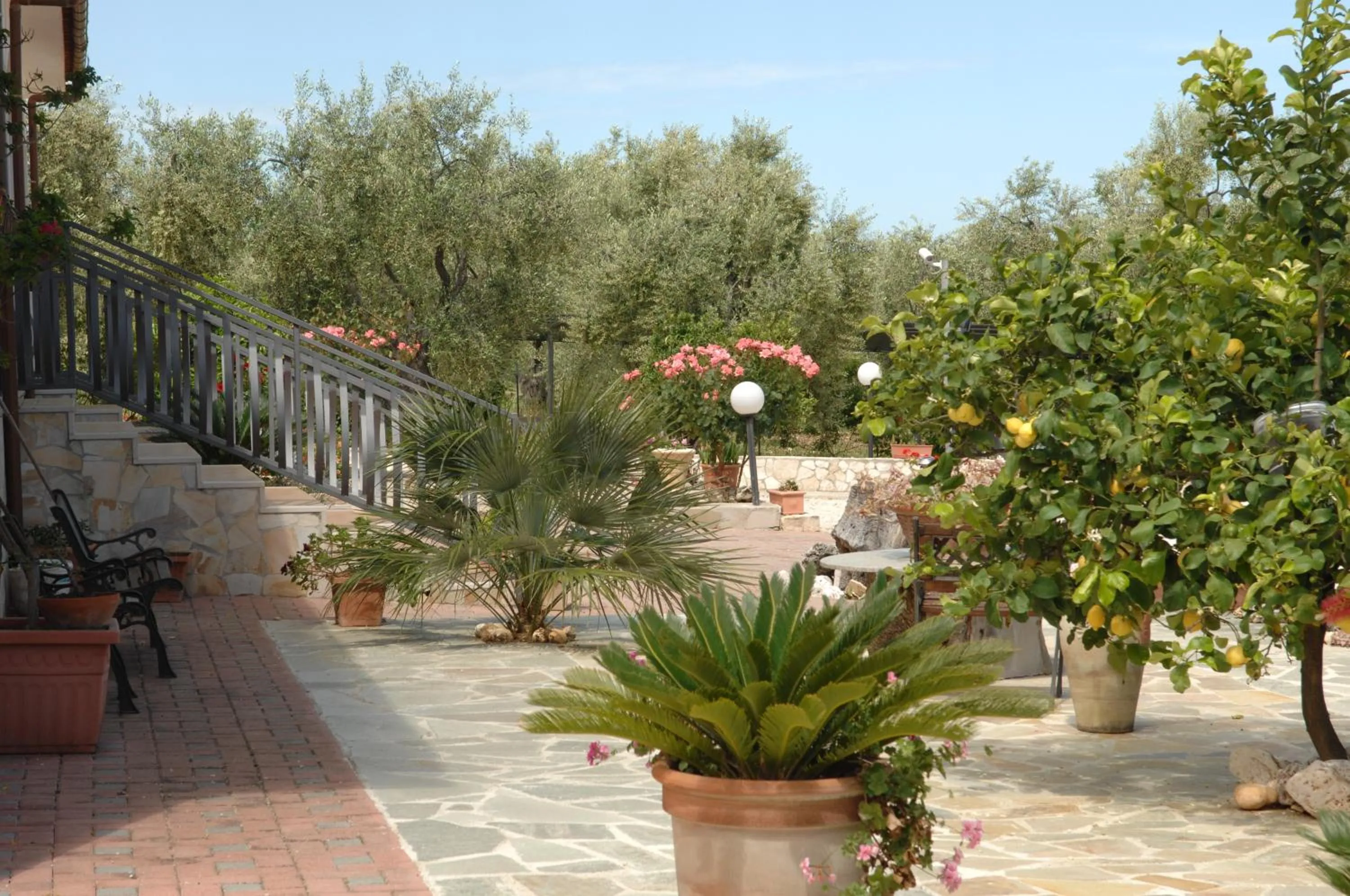 Garden in Villavesta Bed And Breakfast